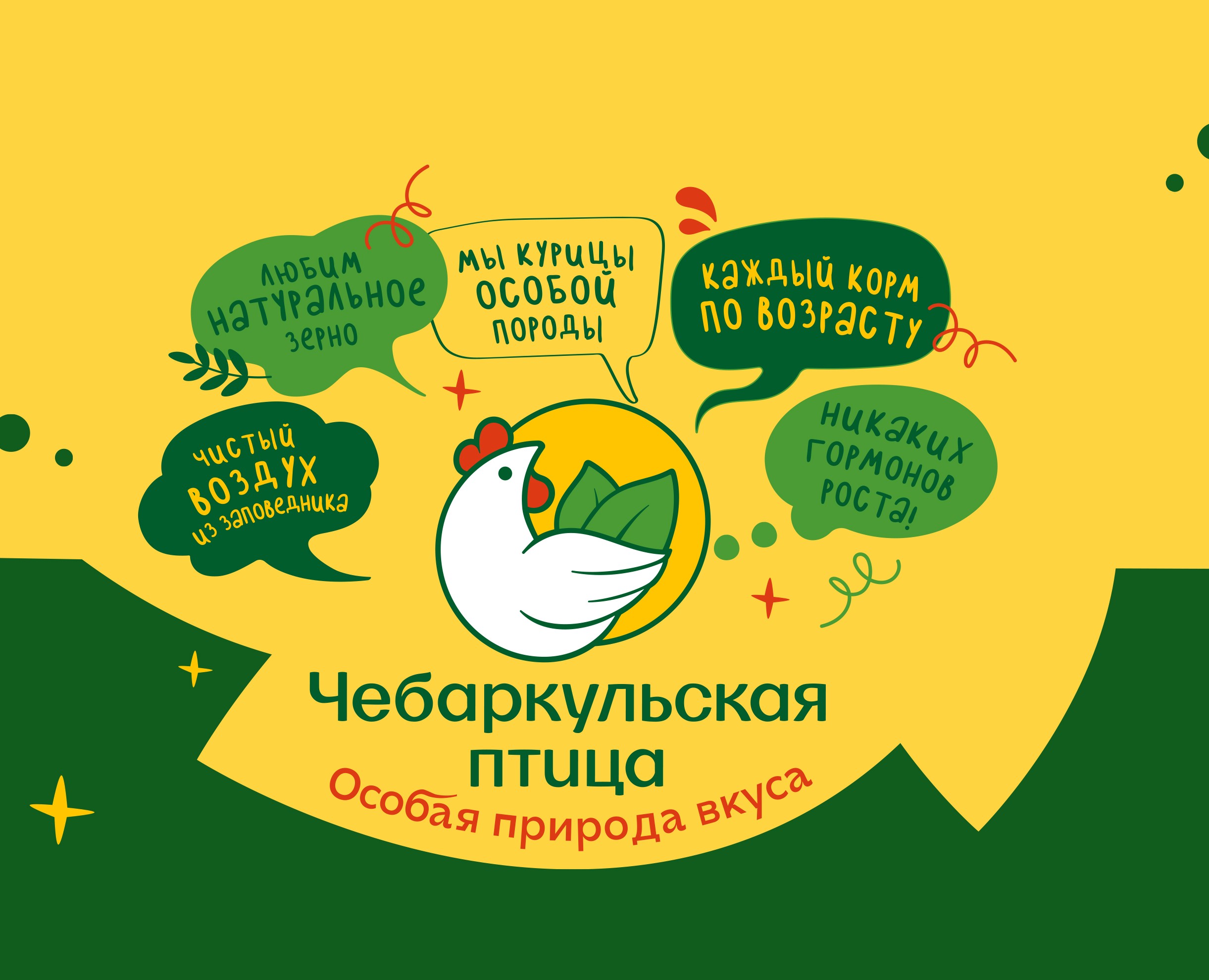 Чебаркульская птица — Брендинг на Dprofile