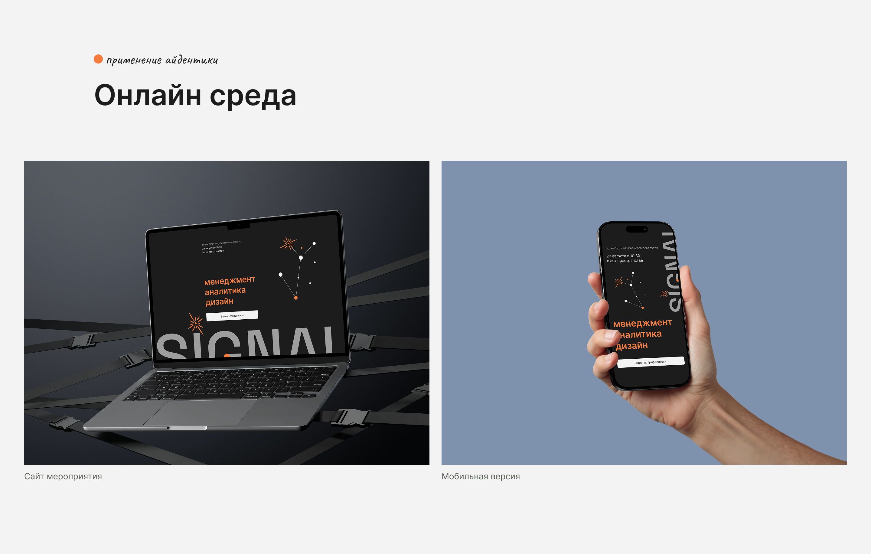 SIGNAL — Изображение №10 — Брендинг на Dprofile