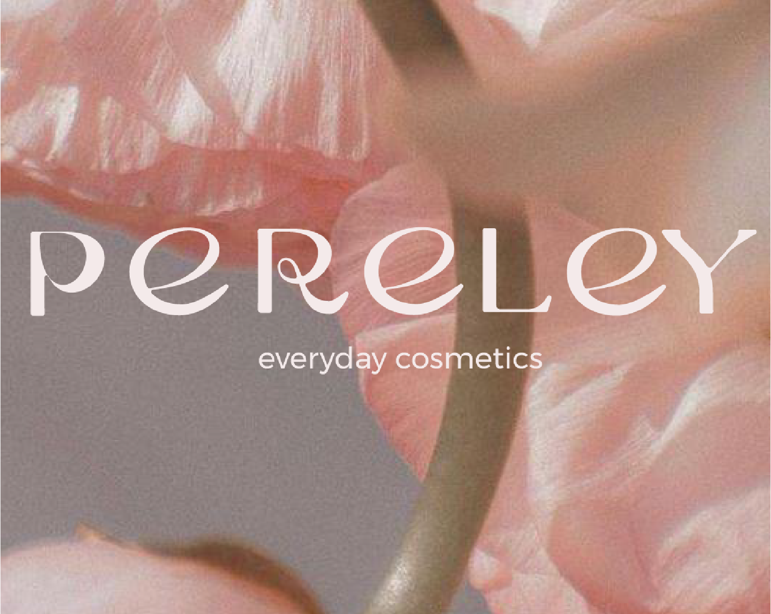 PERELY — Изображение №1 — Брендинг на Dprofile