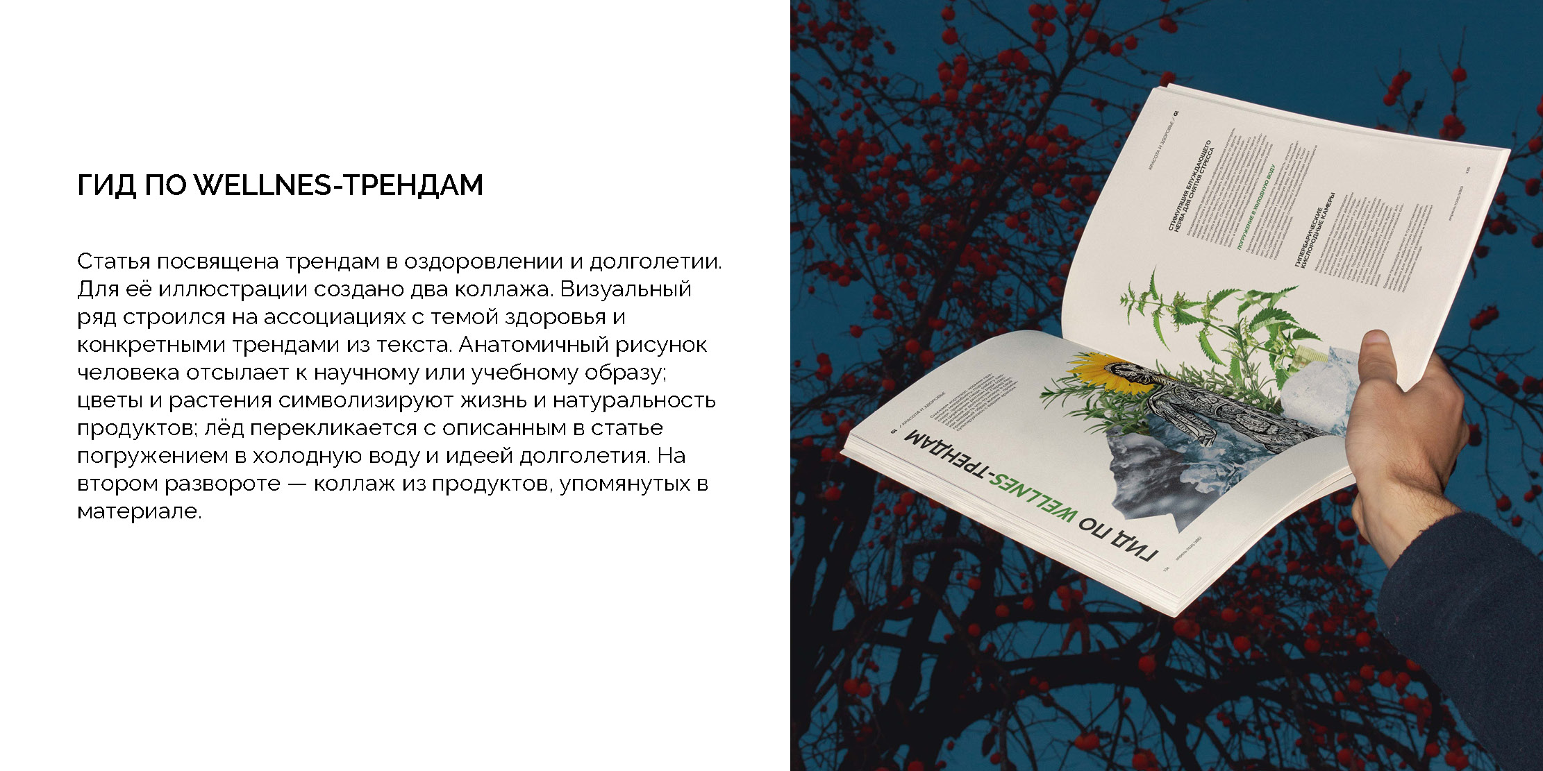 Коллажи как иллюстрация — Изображение №3 — Графика на Dprofile