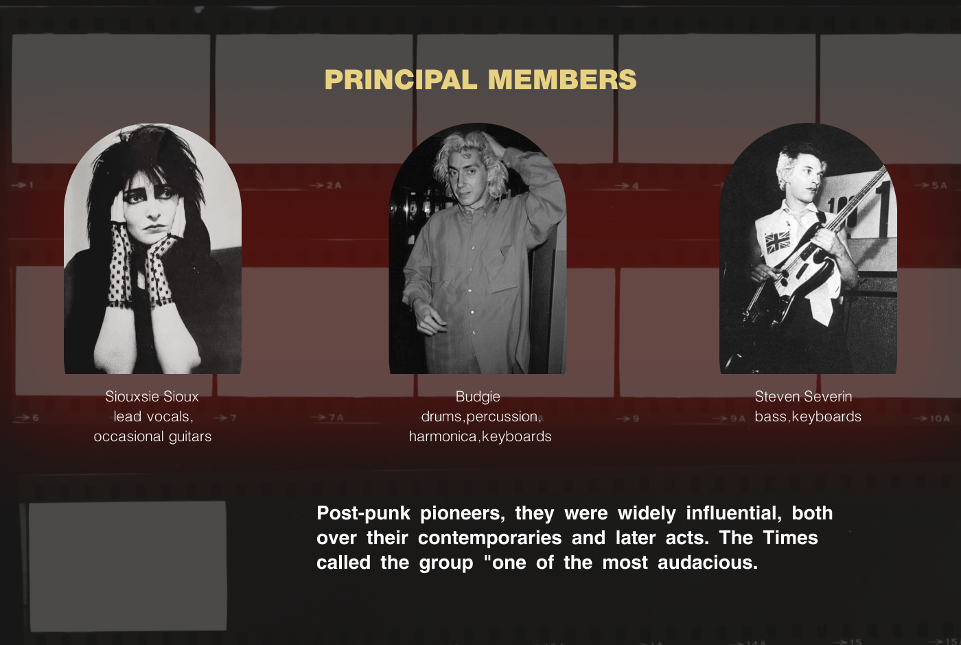 Siouxsie and the Banshees / Visual Presentation — Изображение №2 — Интерфейсы на Dprofile