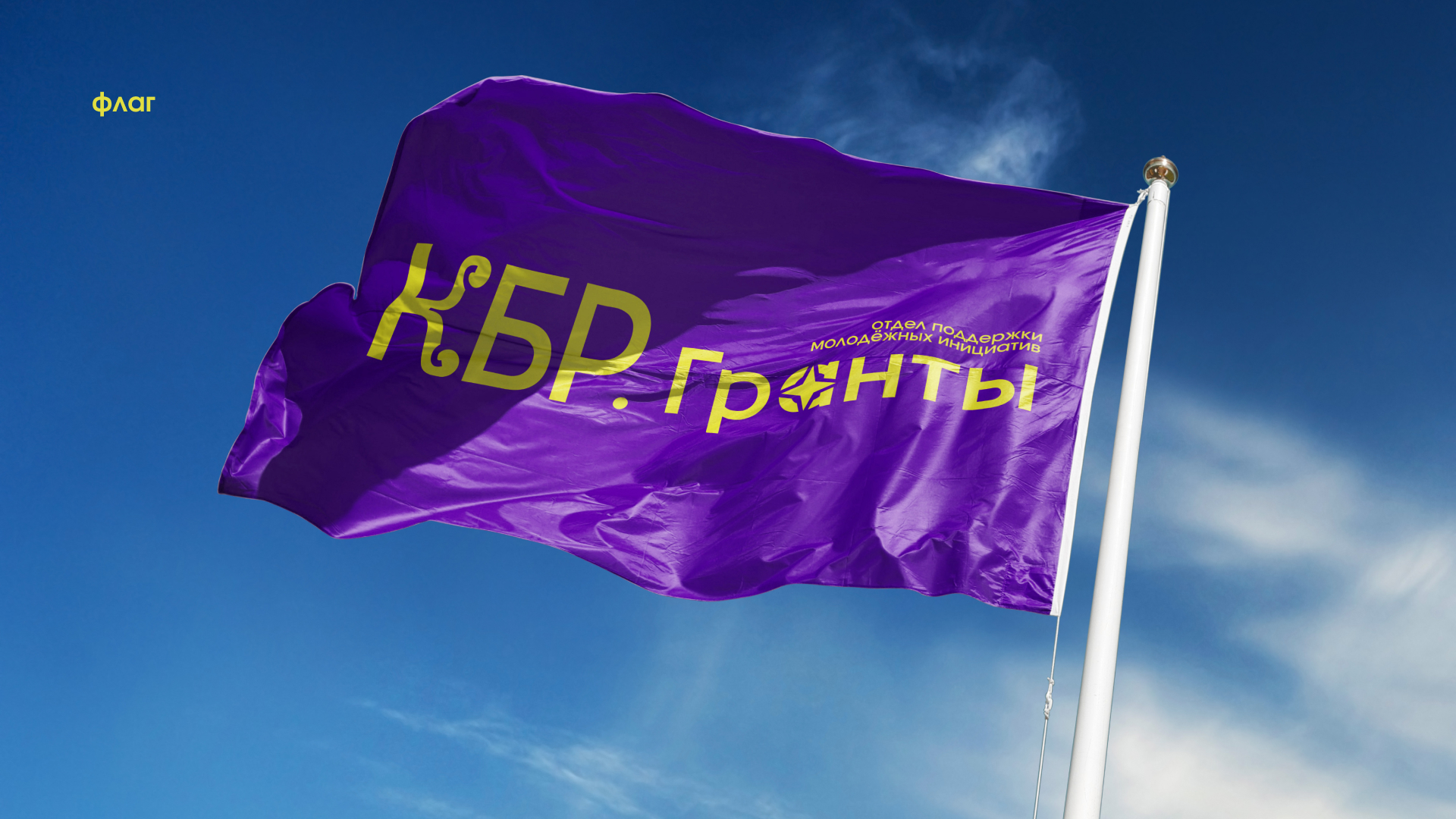 Разработка фирменного стиля для отдела поддержки молодёжных инициатив — Изображение №26 — Брендинг, Графика на Dprofile