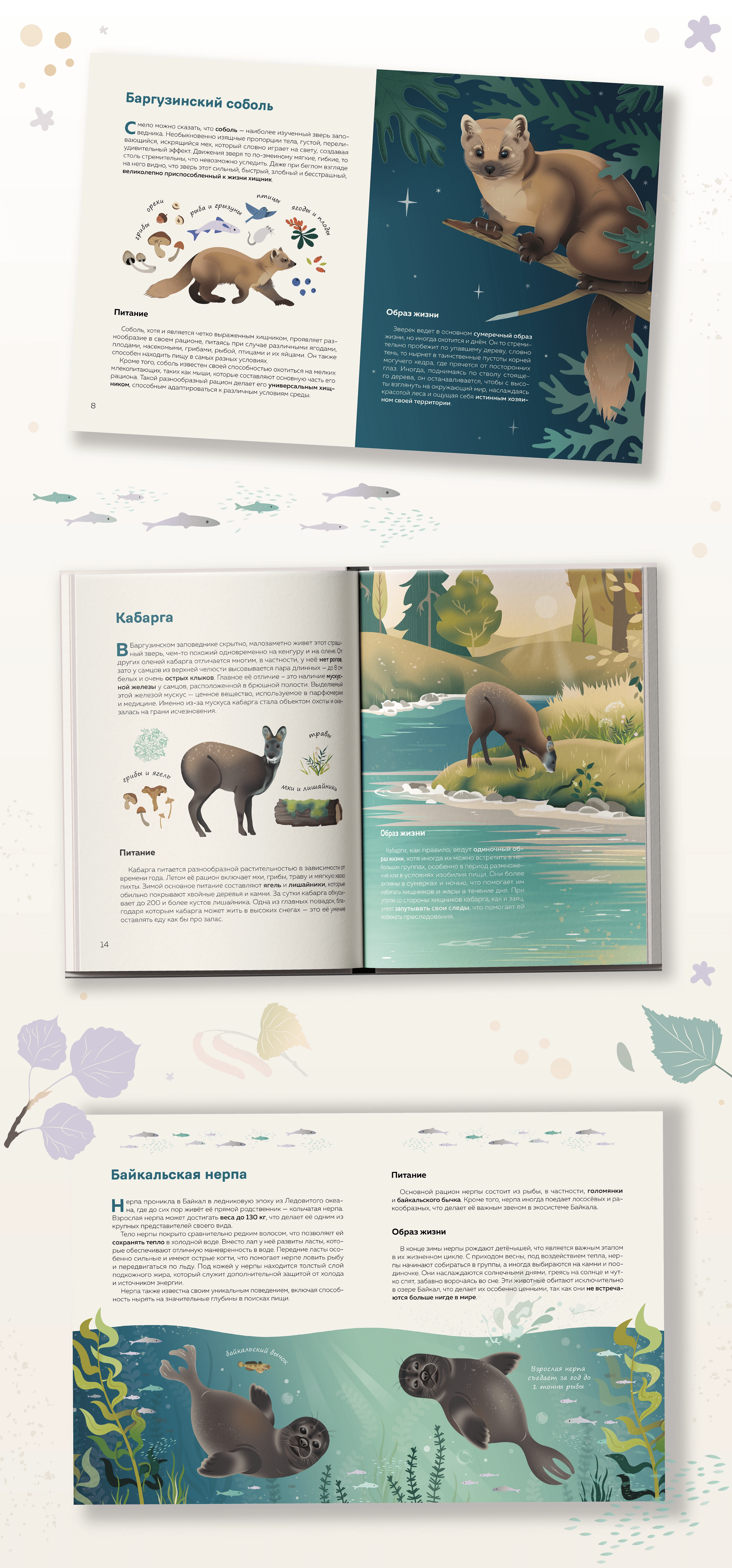 Дизайн и иллюстрации для детской книги — Изображение №11 — Иллюстрация, Графика на Dprofile