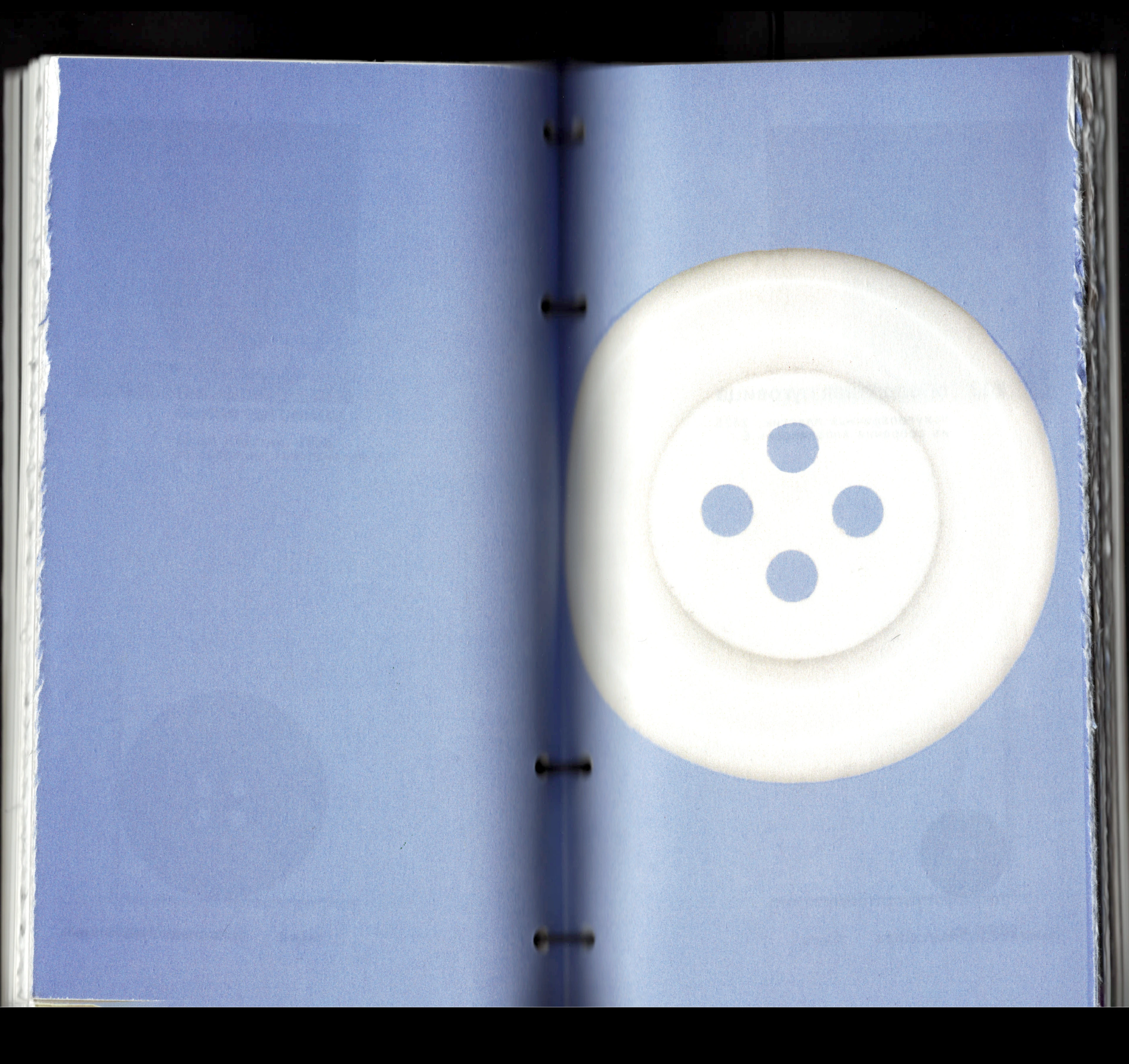 Каталог Музея запасной пуговицы — Изображение №17 — Графика на Dprofile