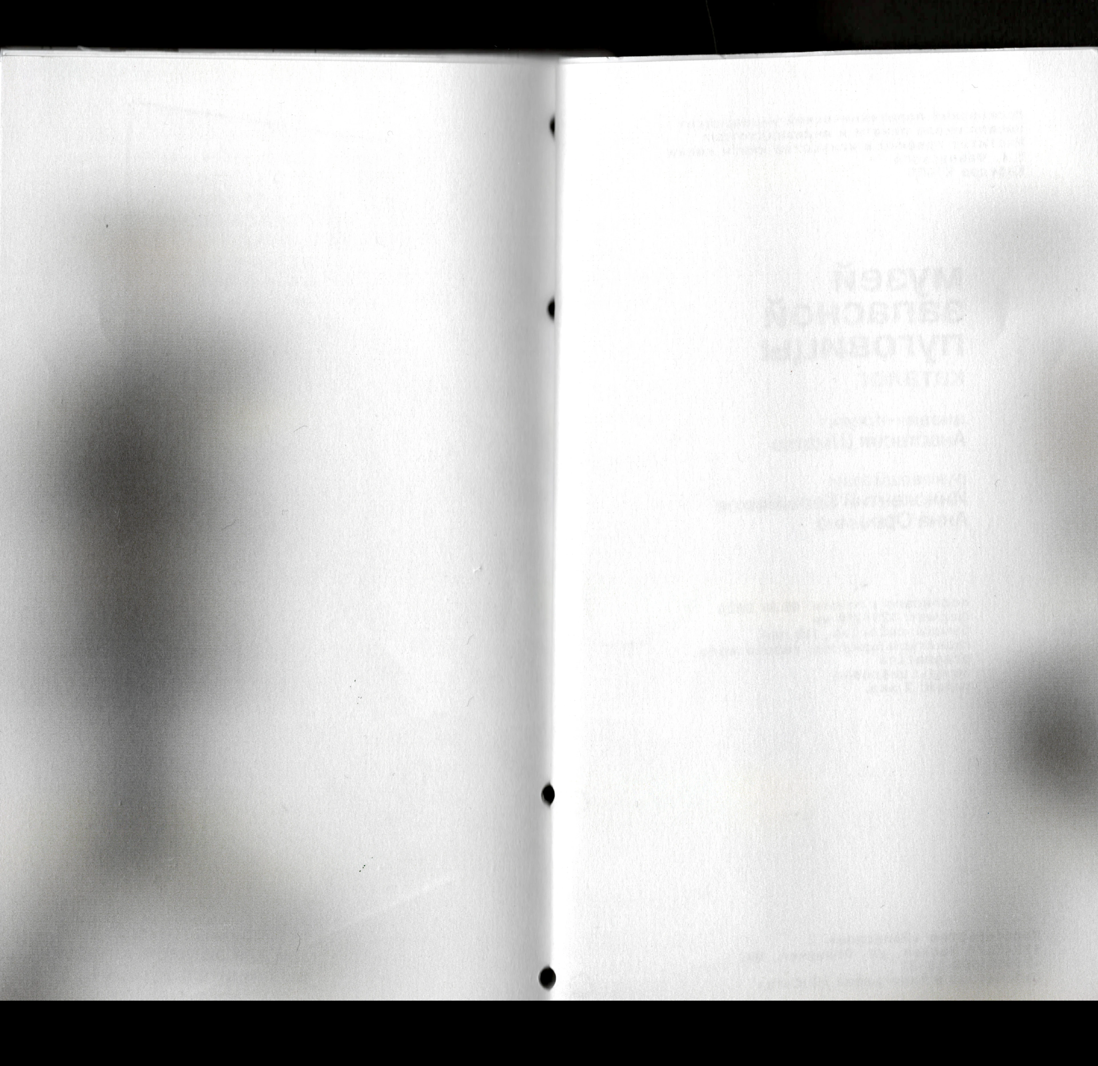 Каталог Музея запасной пуговицы — Изображение №22 — Графика на Dprofile