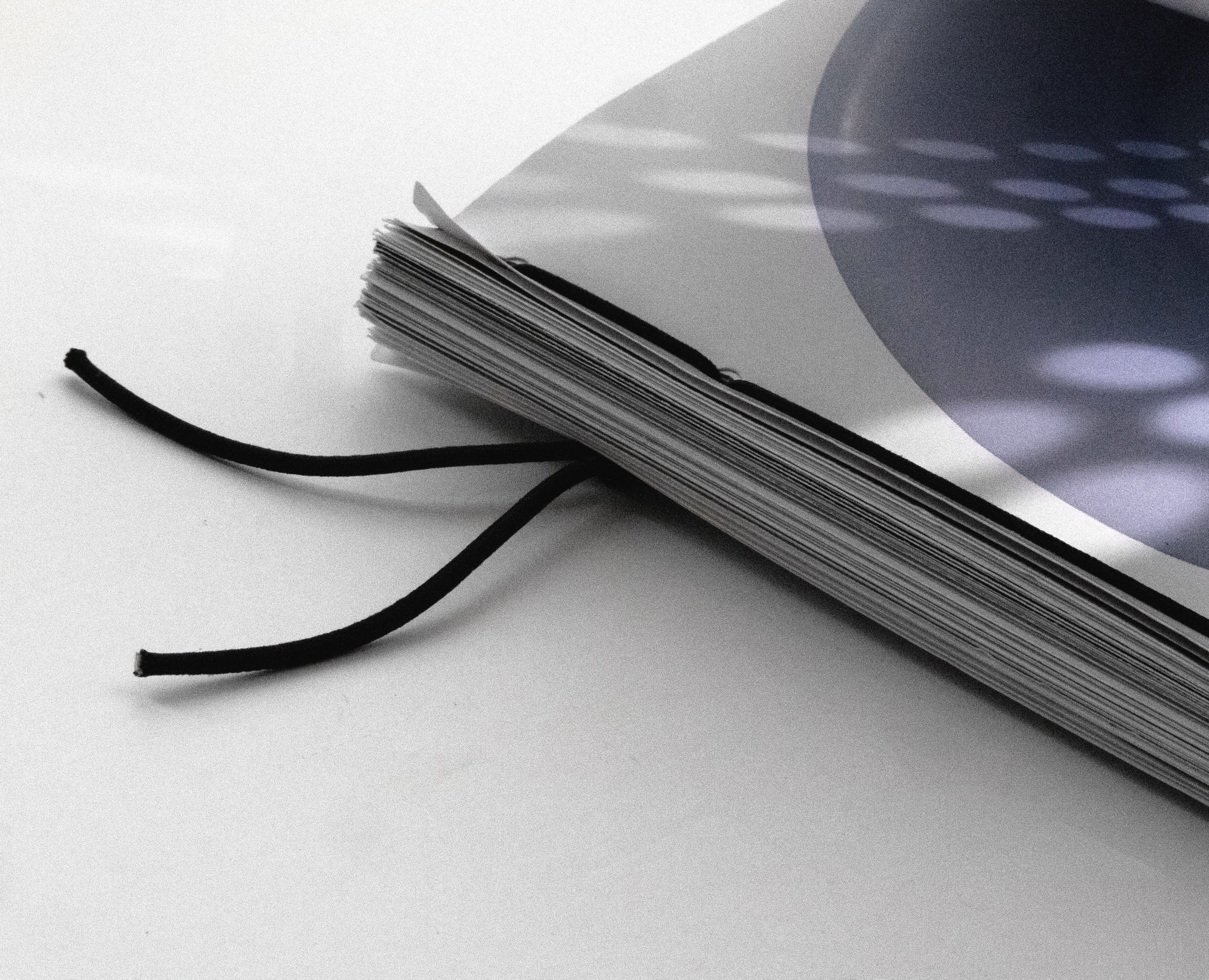 Каталог Музея запасной пуговицы — Графика на Dprofile