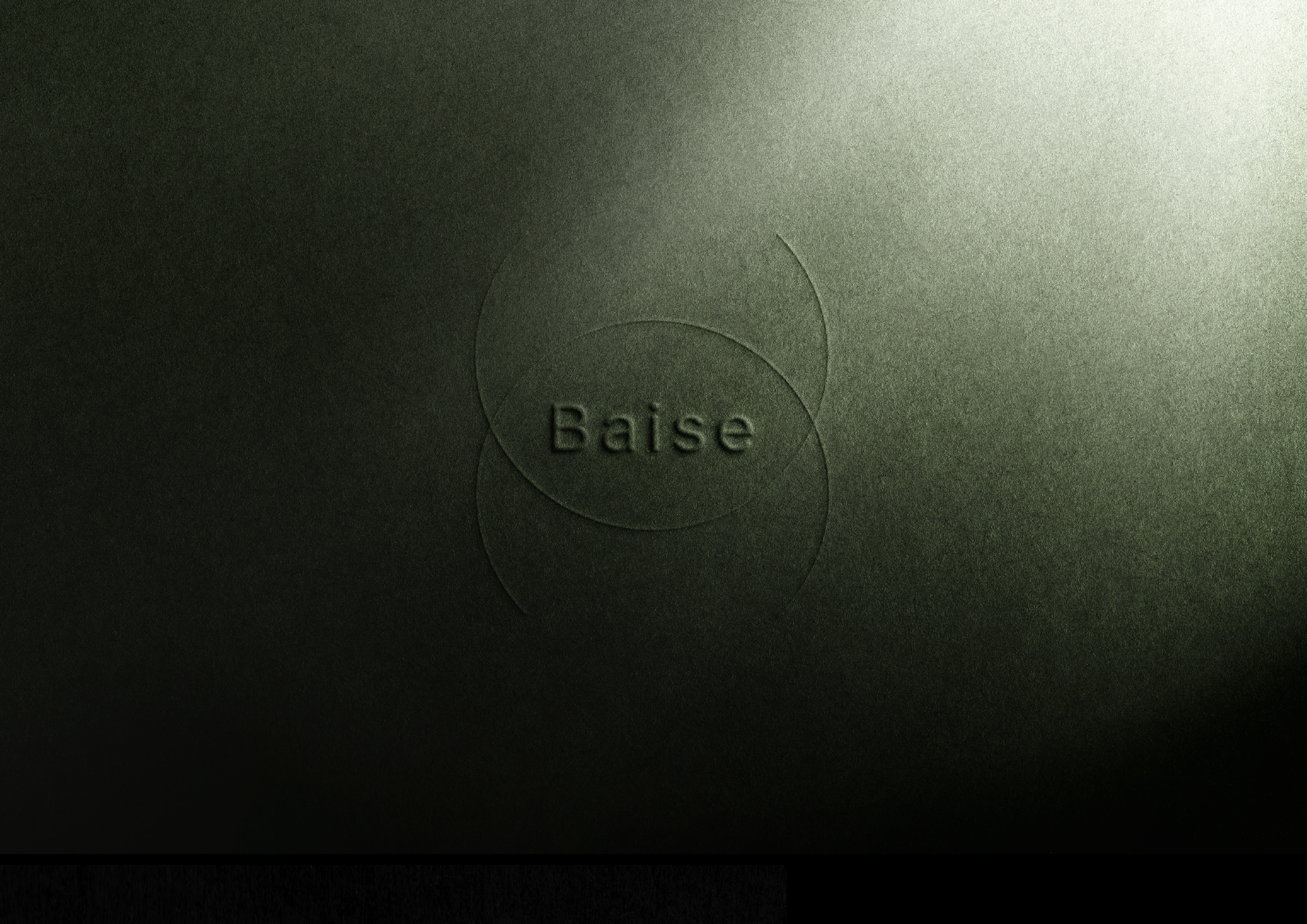 Baise - Visual Identity — Изображение №2 — Брендинг, Графика на Dprofile