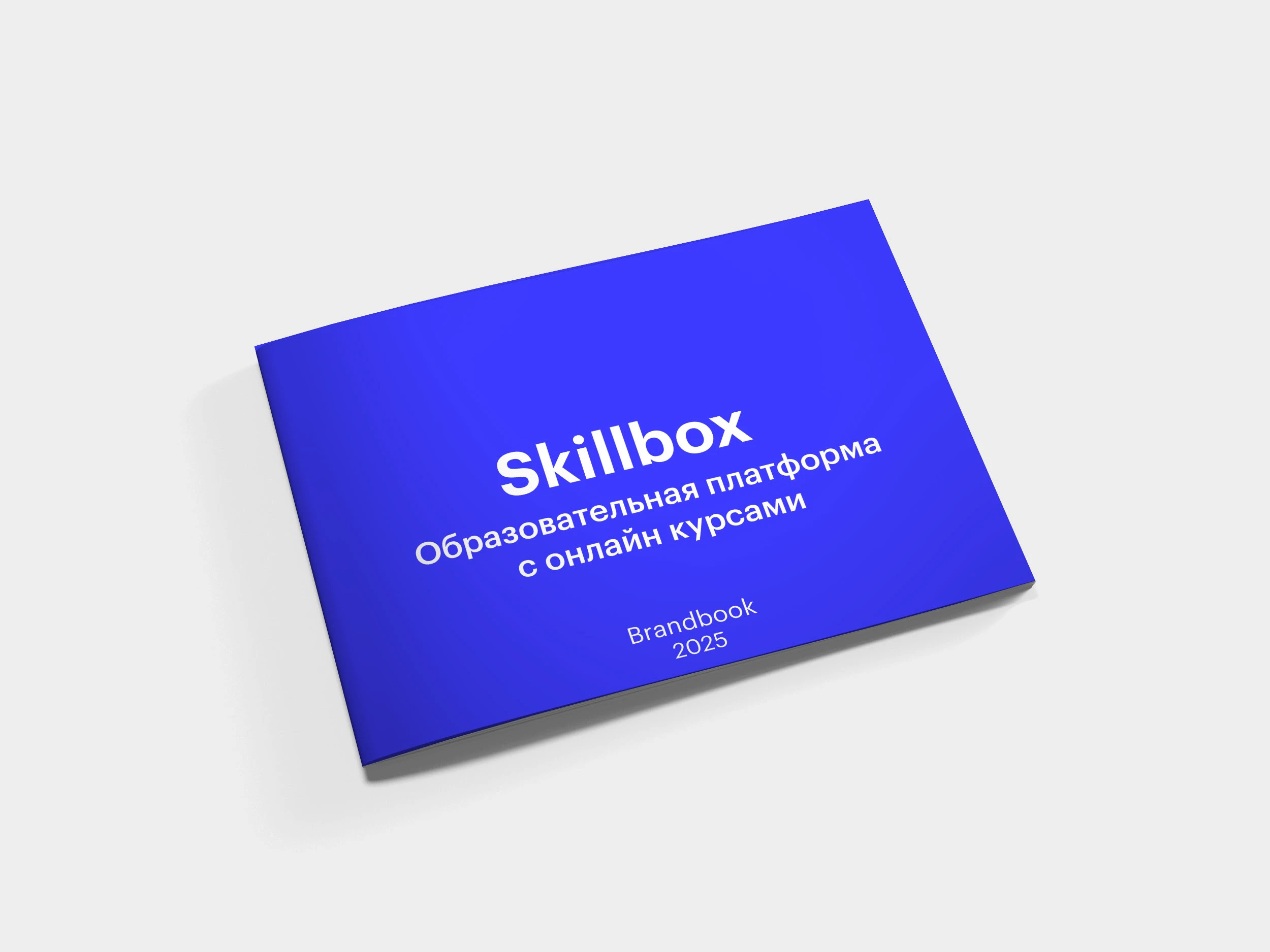 Брендбук Skillbox — Изображение №1 — Брендинг, Иллюстрация на Dprofile
