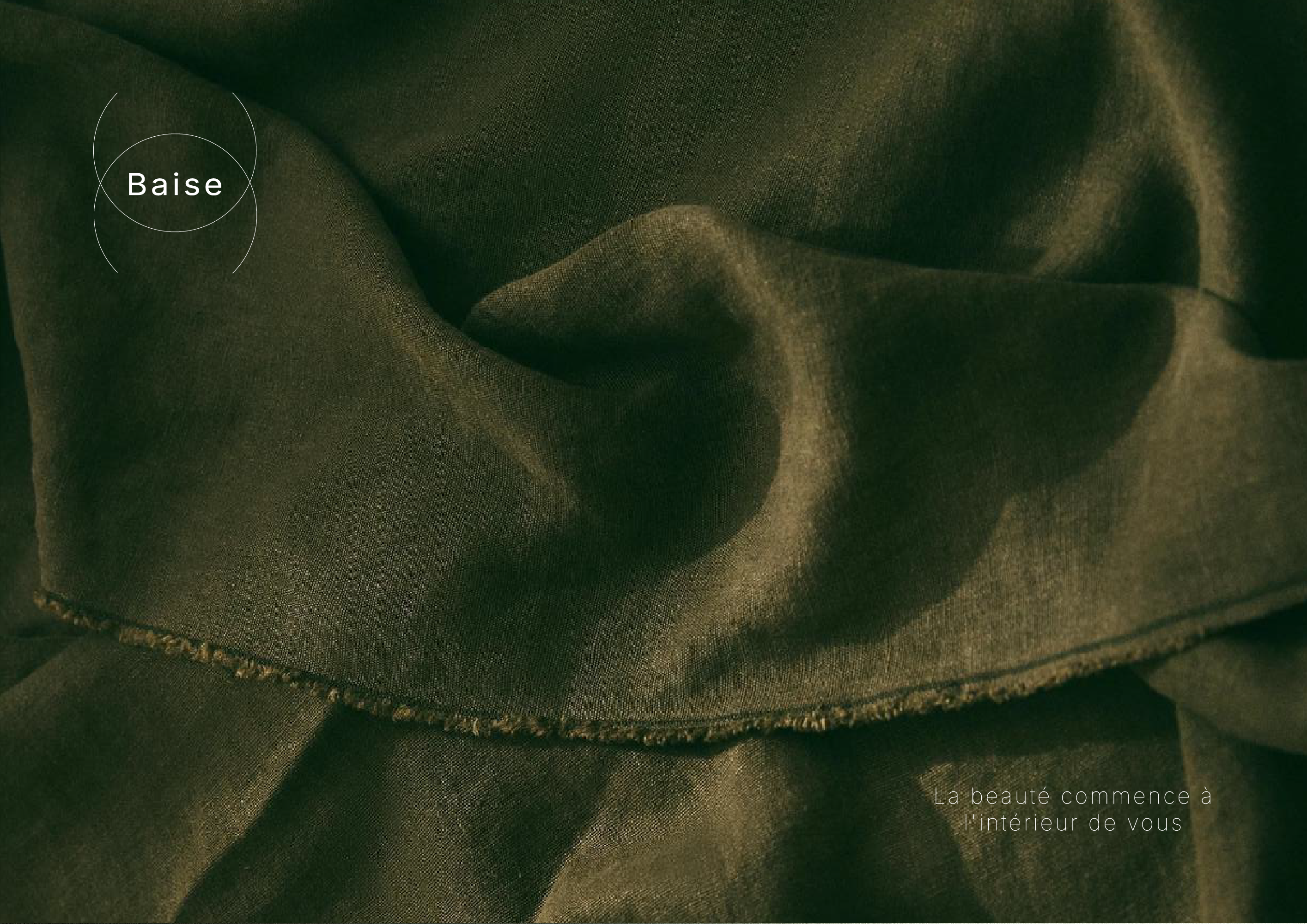 Baise - Visual Identity — Изображение №1 — Брендинг, Графика на Dprofile