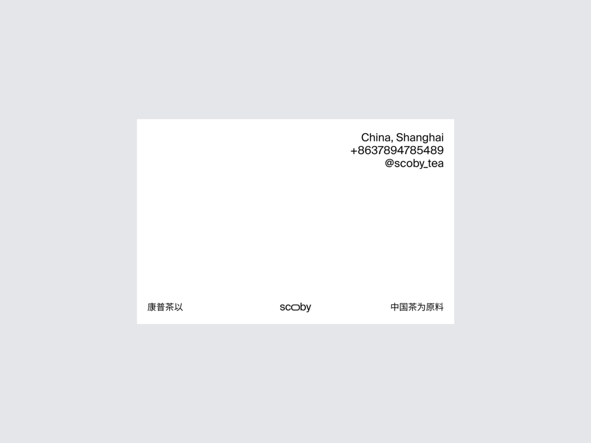 SCOBY 2.0 — Изображение №2 — Брендинг на Dprofile