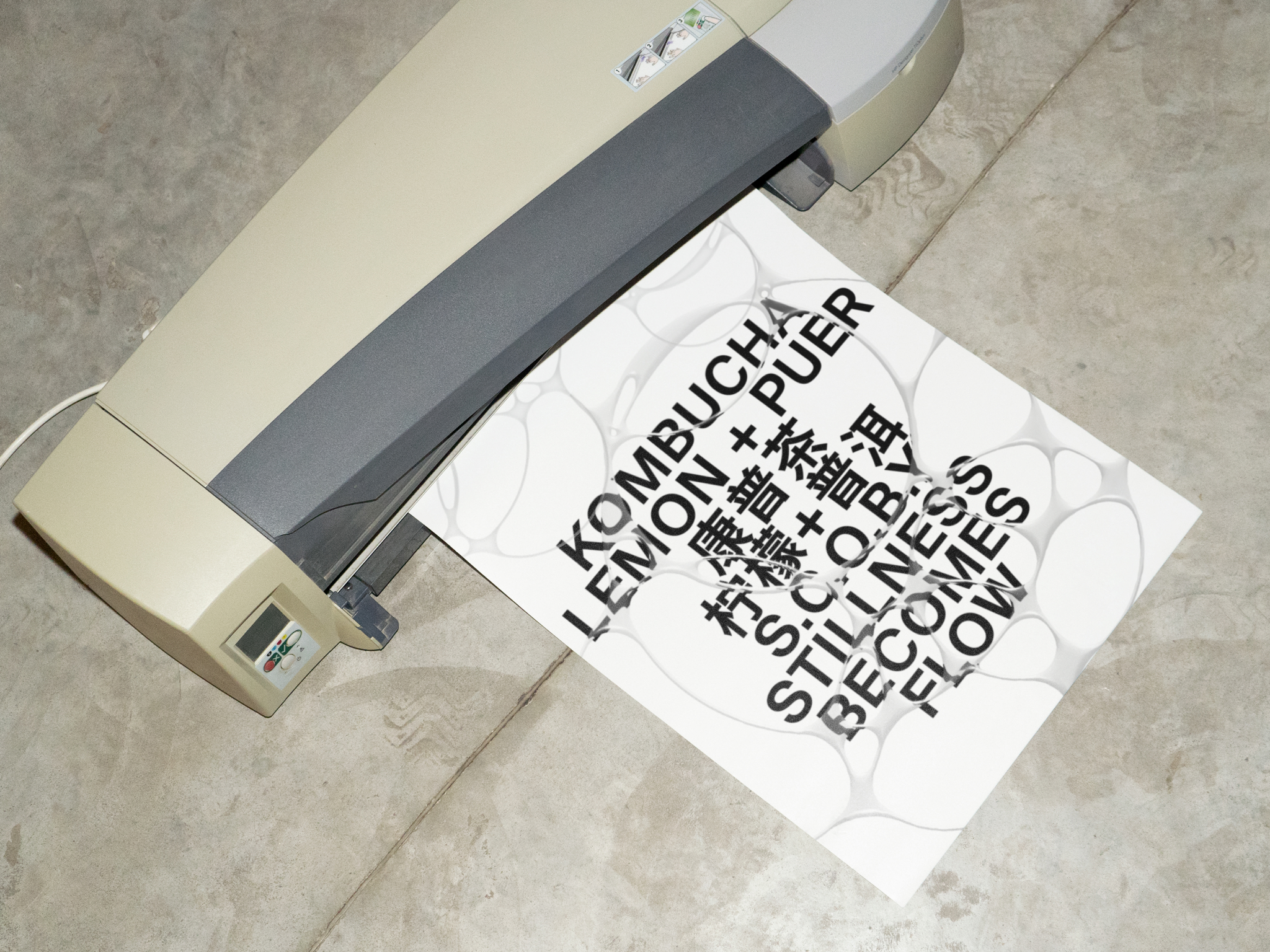 SCOBY — Изображение №7 — Брендинг на Dprofile