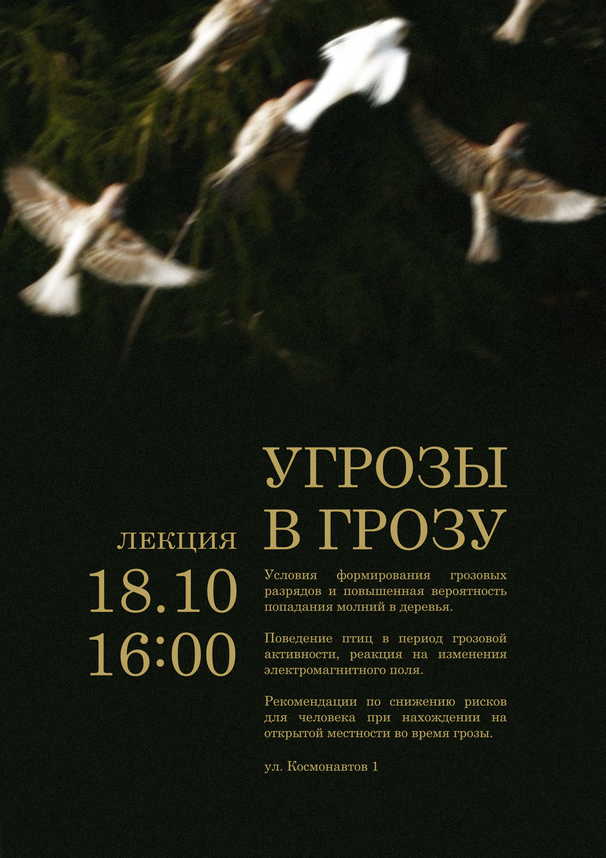 Плакат Угрозы в грозу — Изображение №2 — Графика, Маркетинг на Dprofile