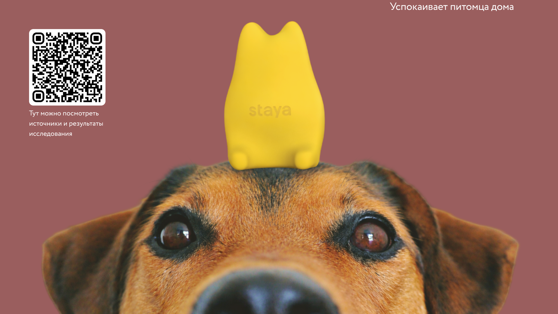 Игрушки для собак — Изображение №15 — 3D, Промдизайн на Dprofile