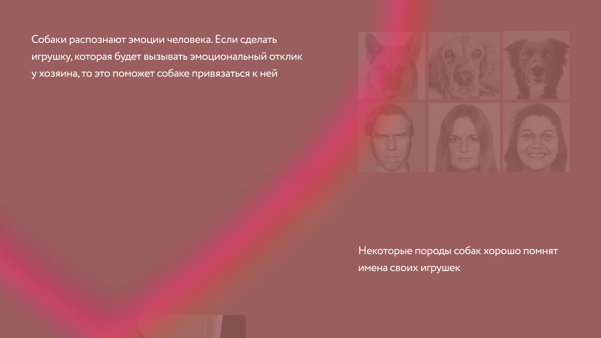 Игрушки для собак — Изображение №4 — 3D, Промдизайн на Dprofile