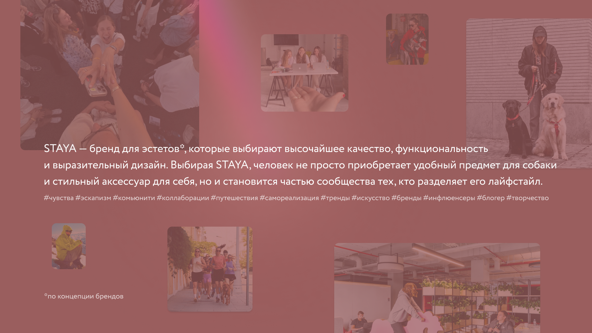 Игрушки для собак — Изображение №2 — 3D, Промдизайн на Dprofile