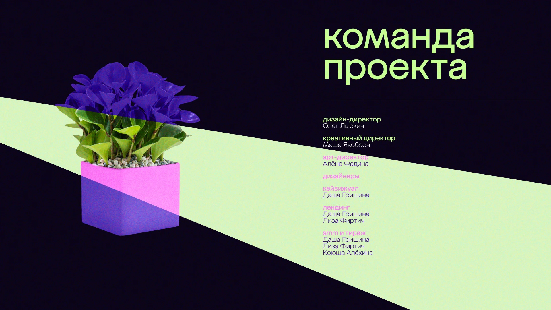 megamarket | чёрная пятница'2025 — Изображение №4 — Брендинг, Маркетинг на Dprofile