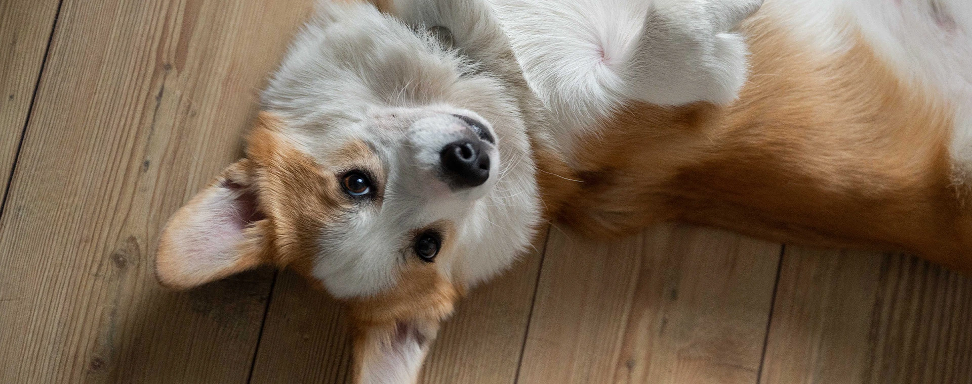 samokat | redesign of private label — Изображение №17 — Брендинг, Графика на Dprofile