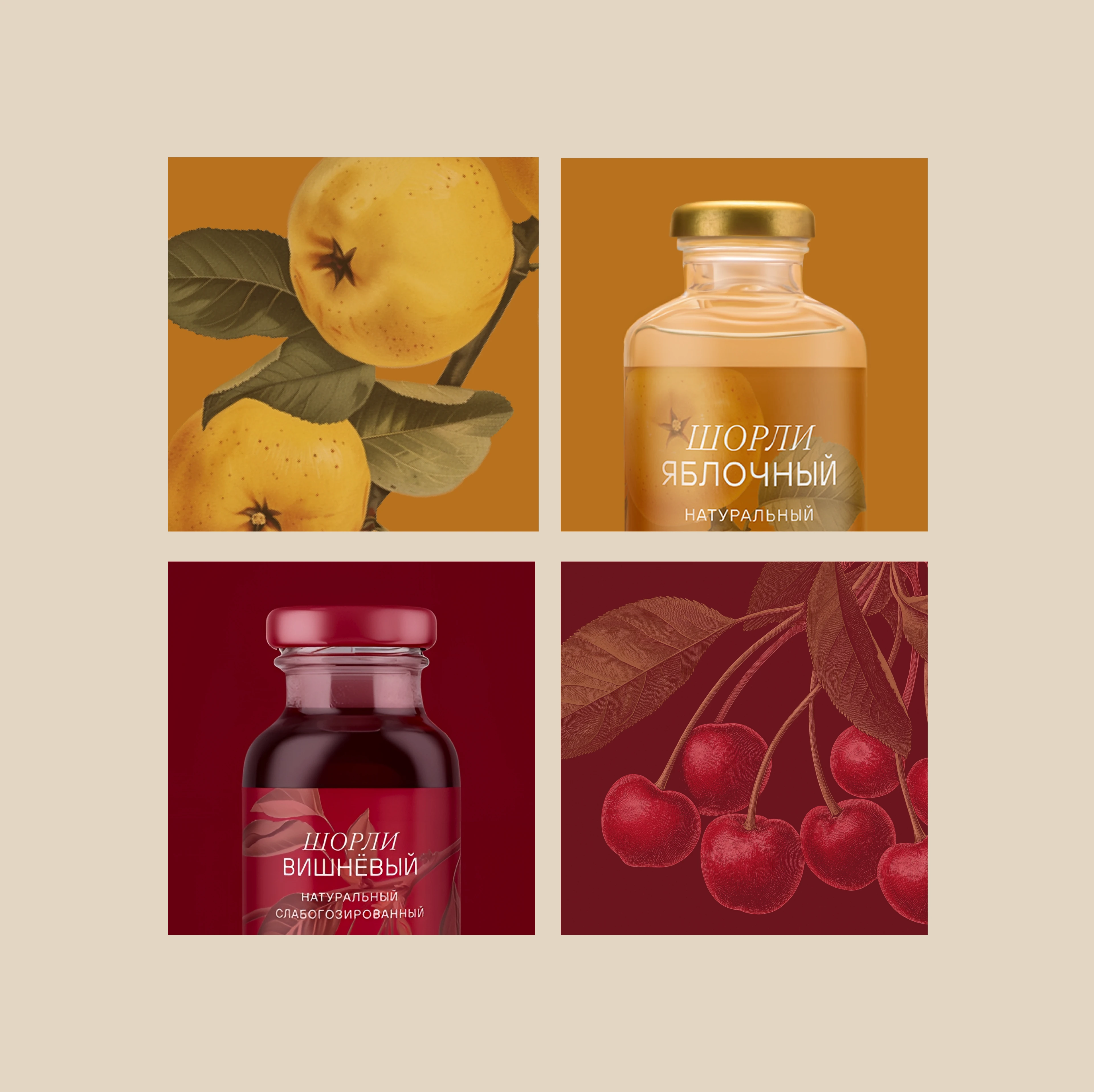 самокат | премиальные напитки — Изображение №11 — Брендинг, Иллюстрация на Dprofile