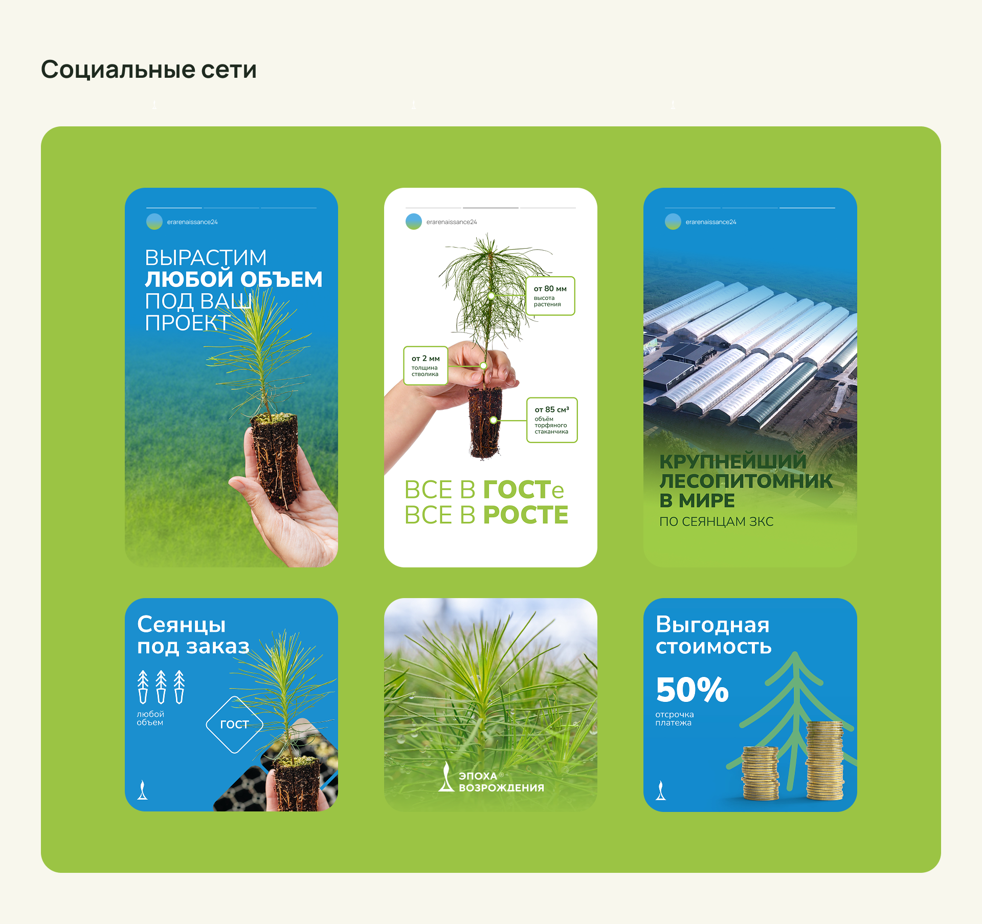 Эпоха Возрождения|Брендинг — Изображение №11 — Брендинг, Графика на Dprofile