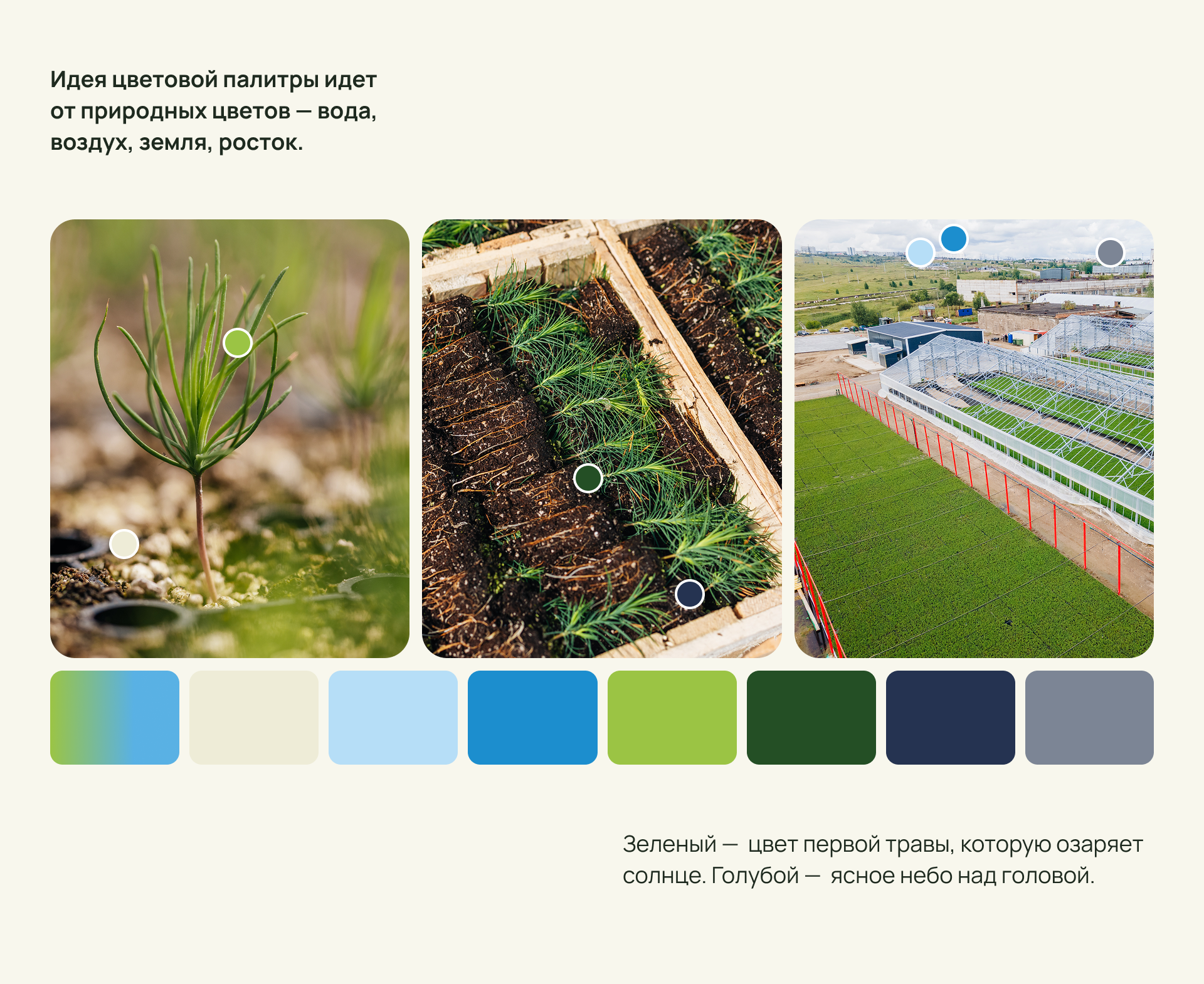 Эпоха Возрождения|Брендинг — Изображение №4 — Брендинг, Графика на Dprofile