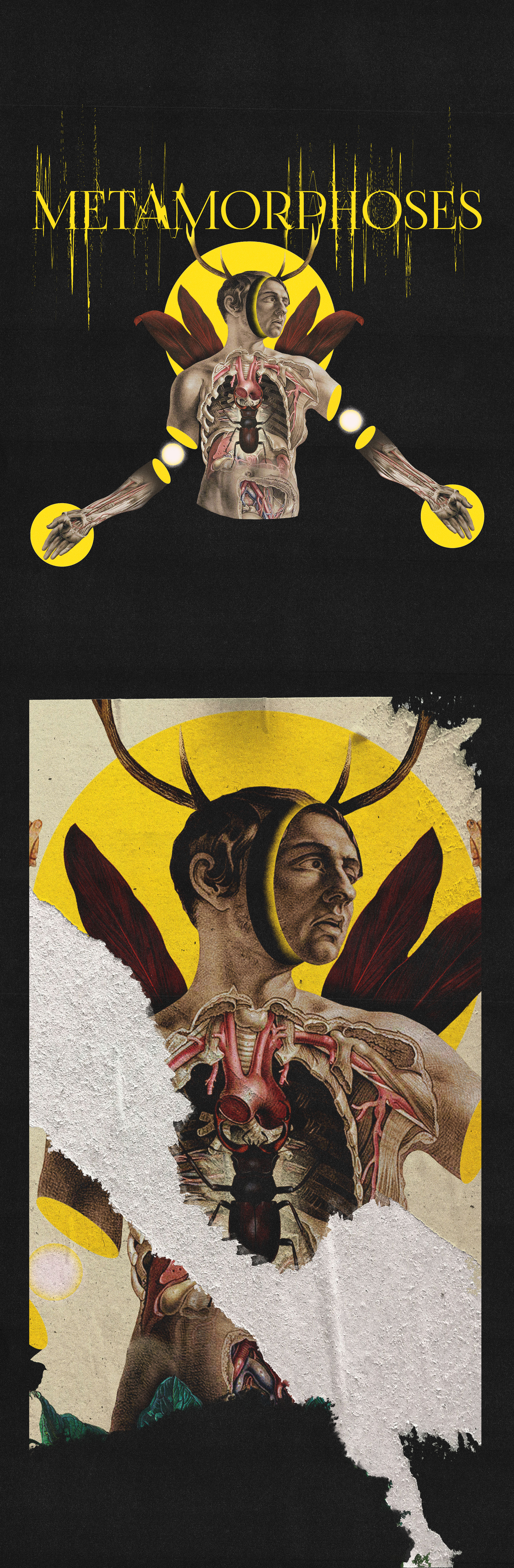 The Eternal Bloom II — Изображение №7 — Графика, Анимация на Dprofile