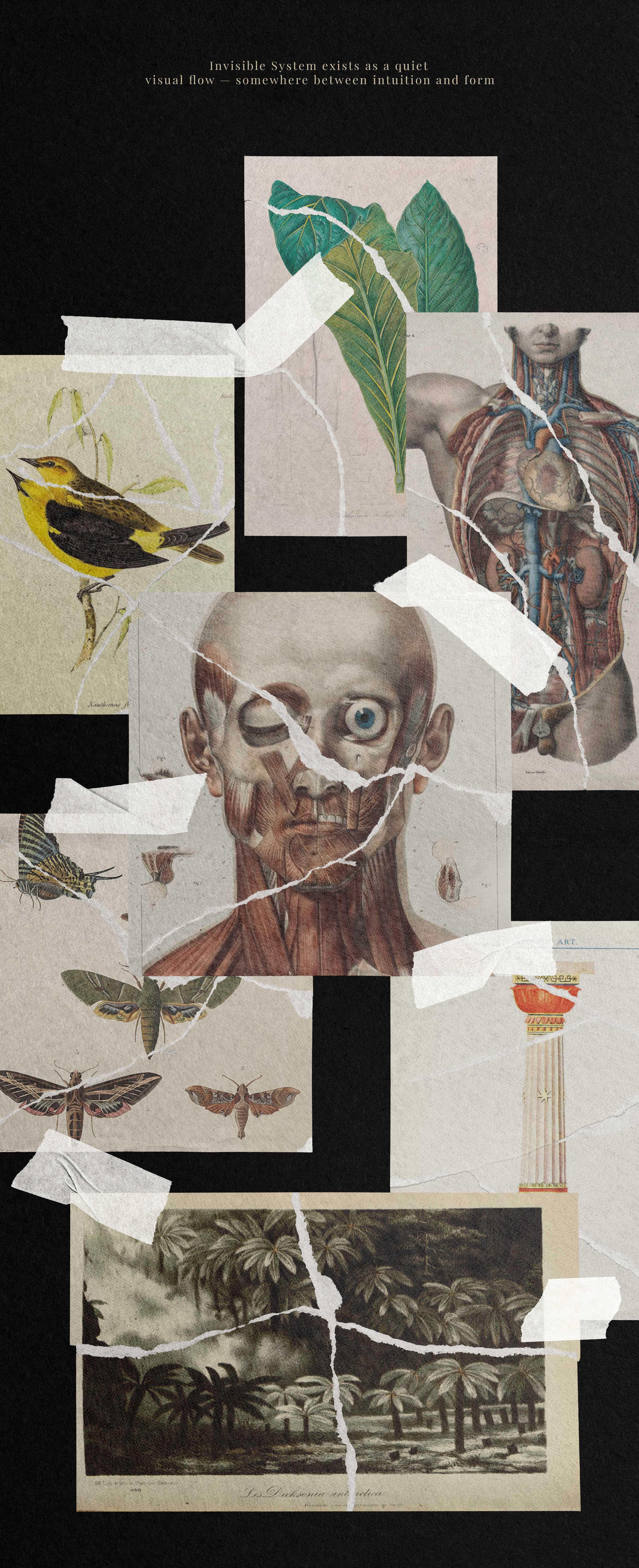 Invisible Systems — Изображение №11 — Графика, Анимация на Dprofile