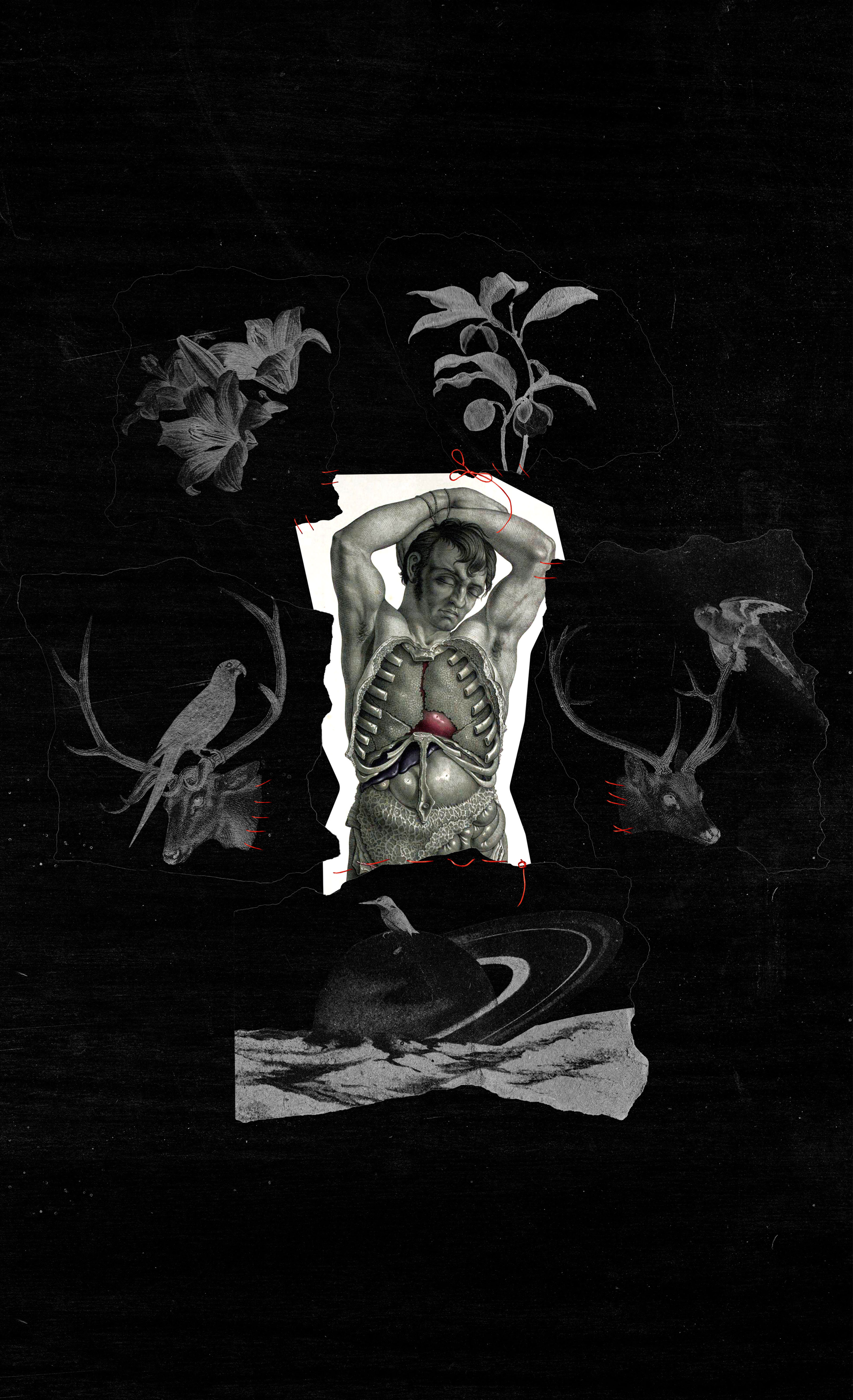 The Eternal Bloom — Изображение №3 — Иллюстрация, Графика на Dprofile