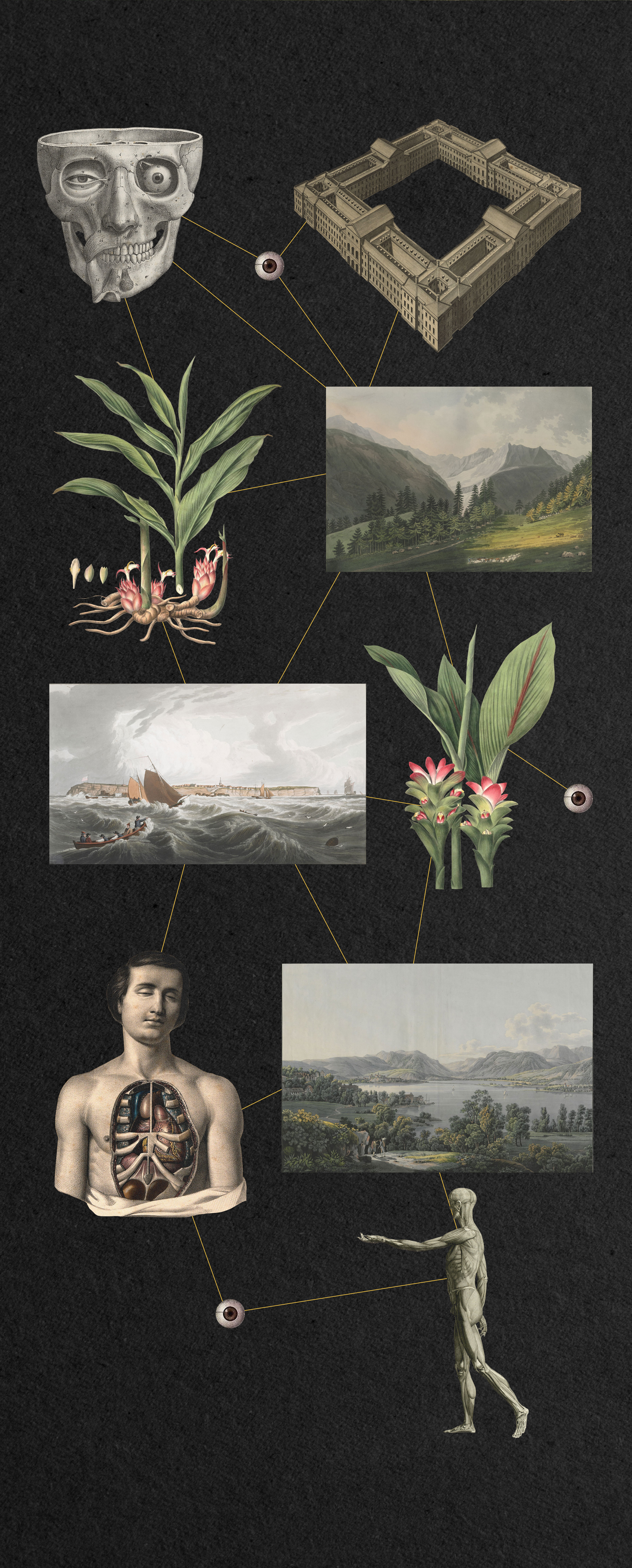 The Eternal Bloom II — Изображение №3 — Графика, Анимация на Dprofile