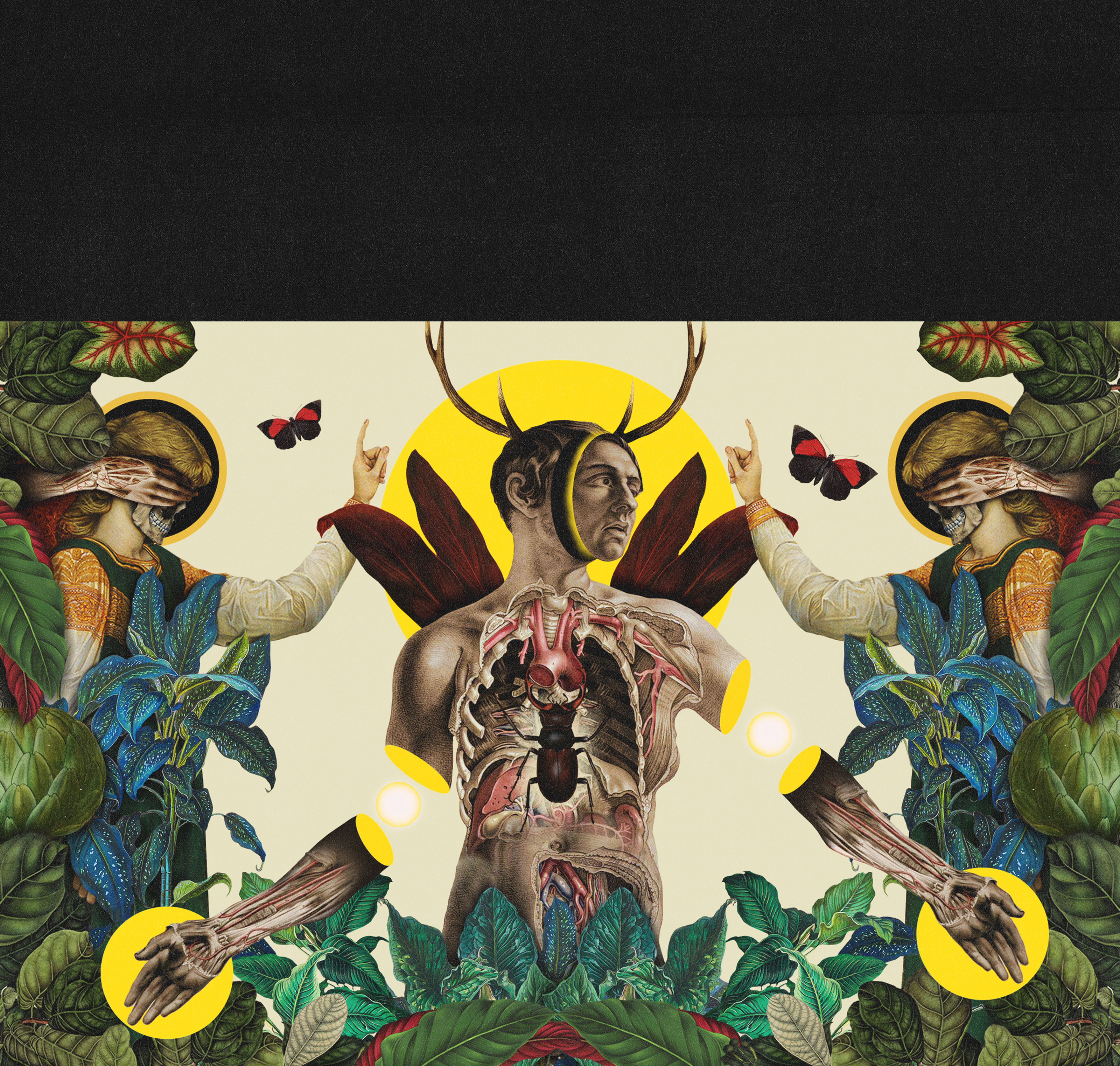 The Eternal Bloom II — Изображение №9 — Графика, Анимация на Dprofile