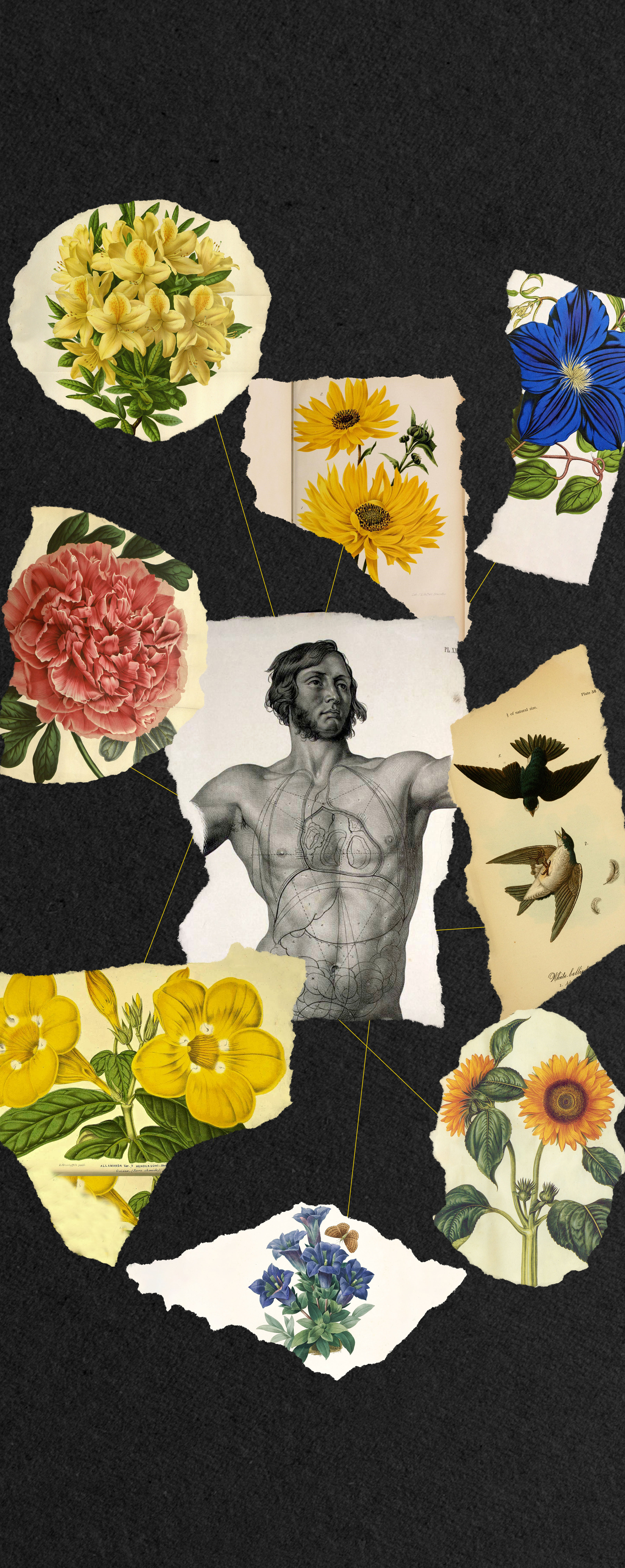 The Eternal Bloom II — Изображение №5 — Графика, Анимация на Dprofile