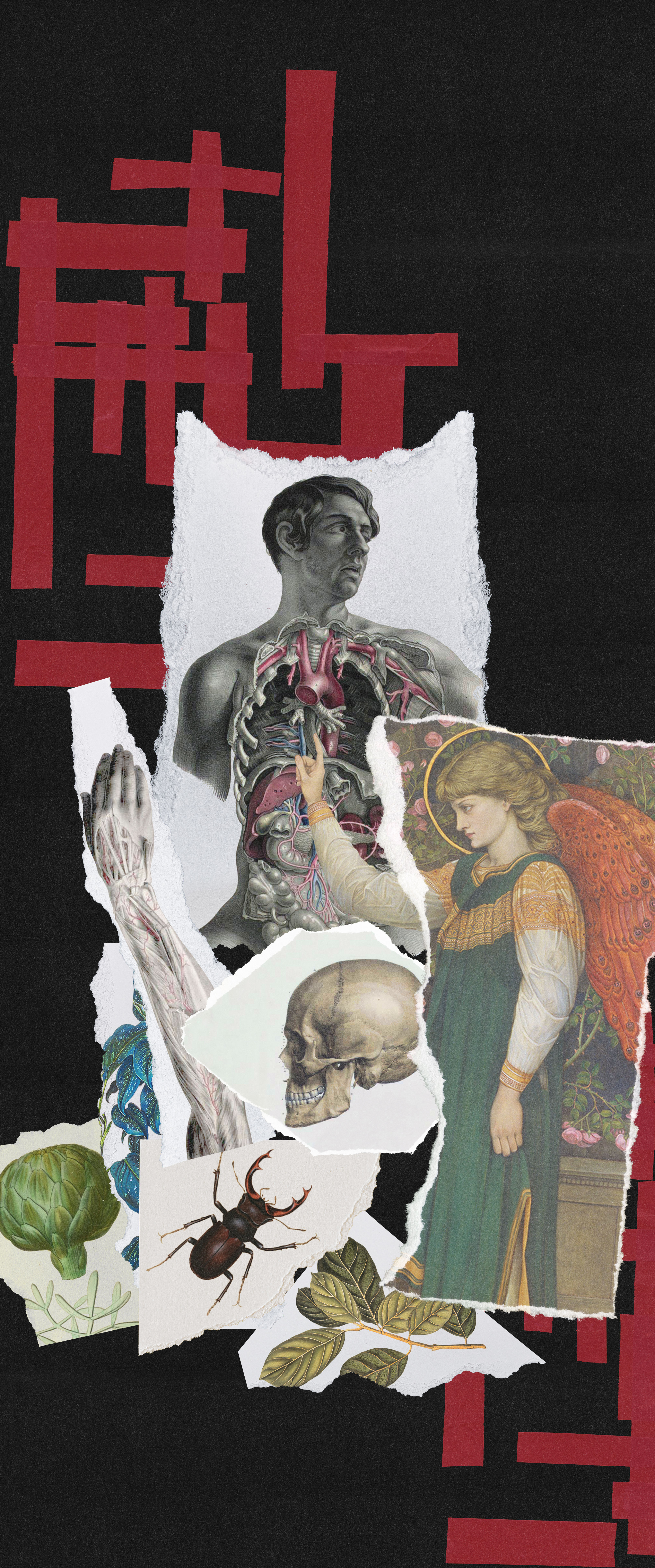 The Eternal Bloom II — Изображение №8 — Графика, Анимация на Dprofile