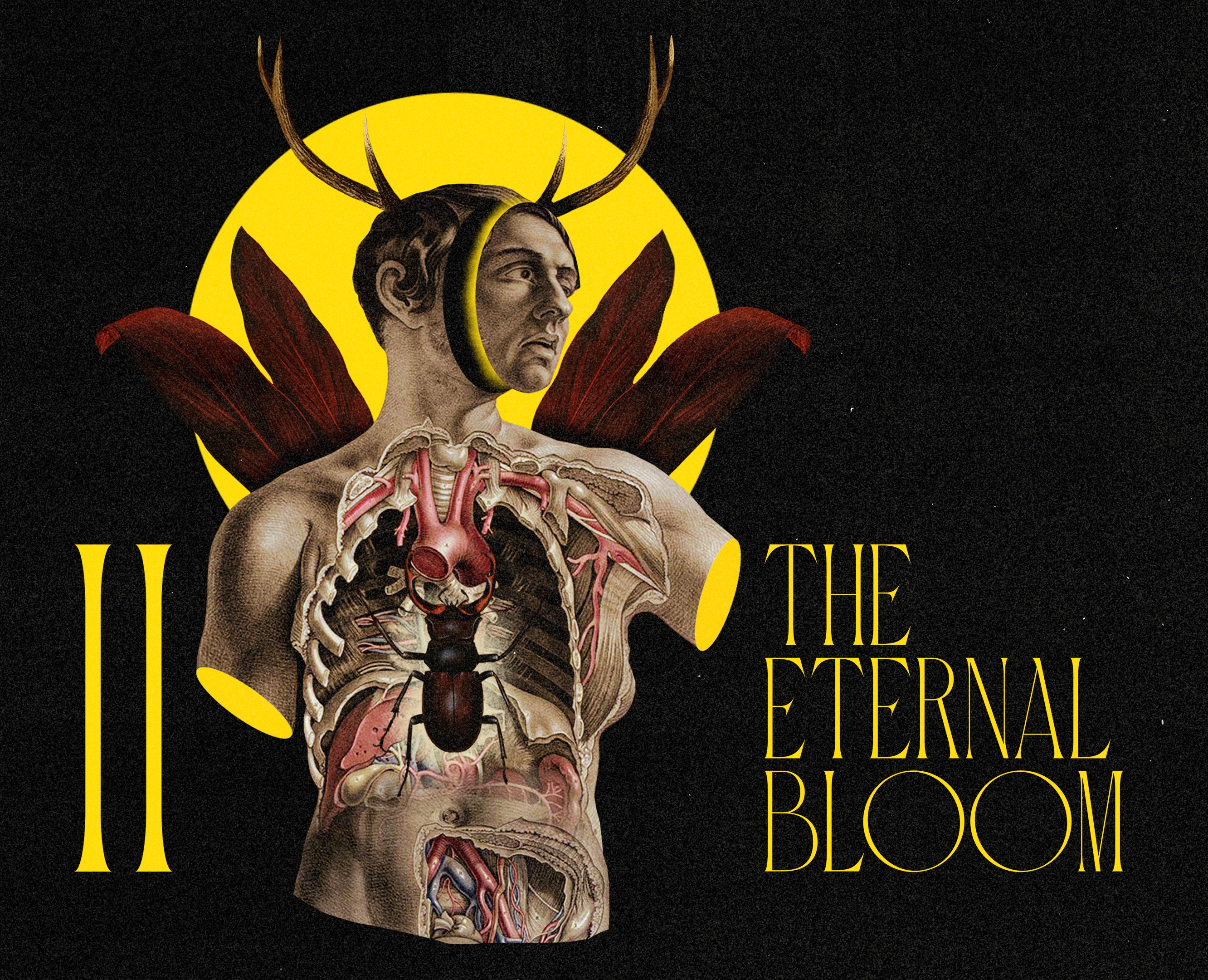 The Eternal Bloom II — Графика, Анимация на Dprofile