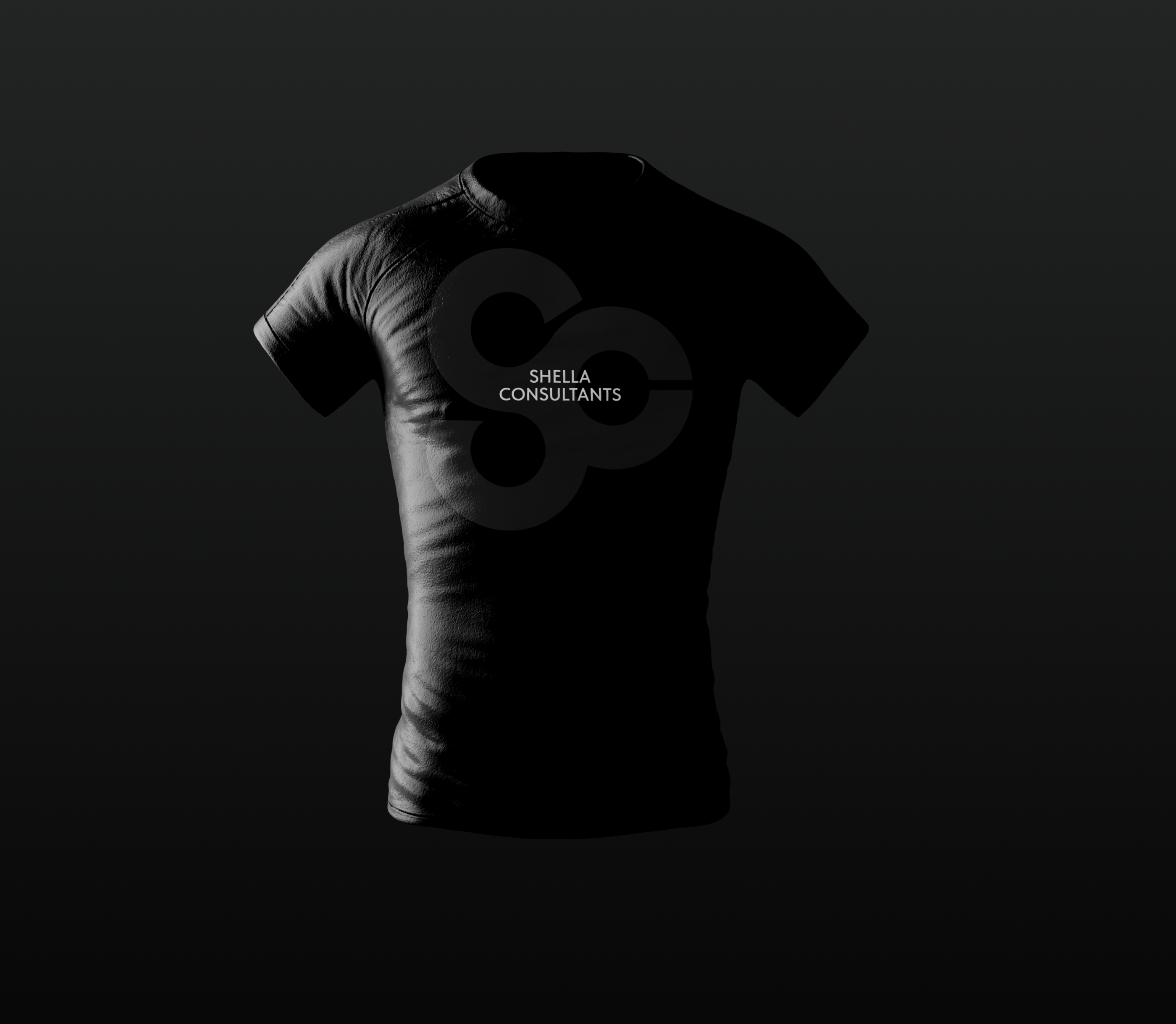 Shella Consultants | Website Design — Изображение №14 — Интерфейсы, Брендинг на Dprofile