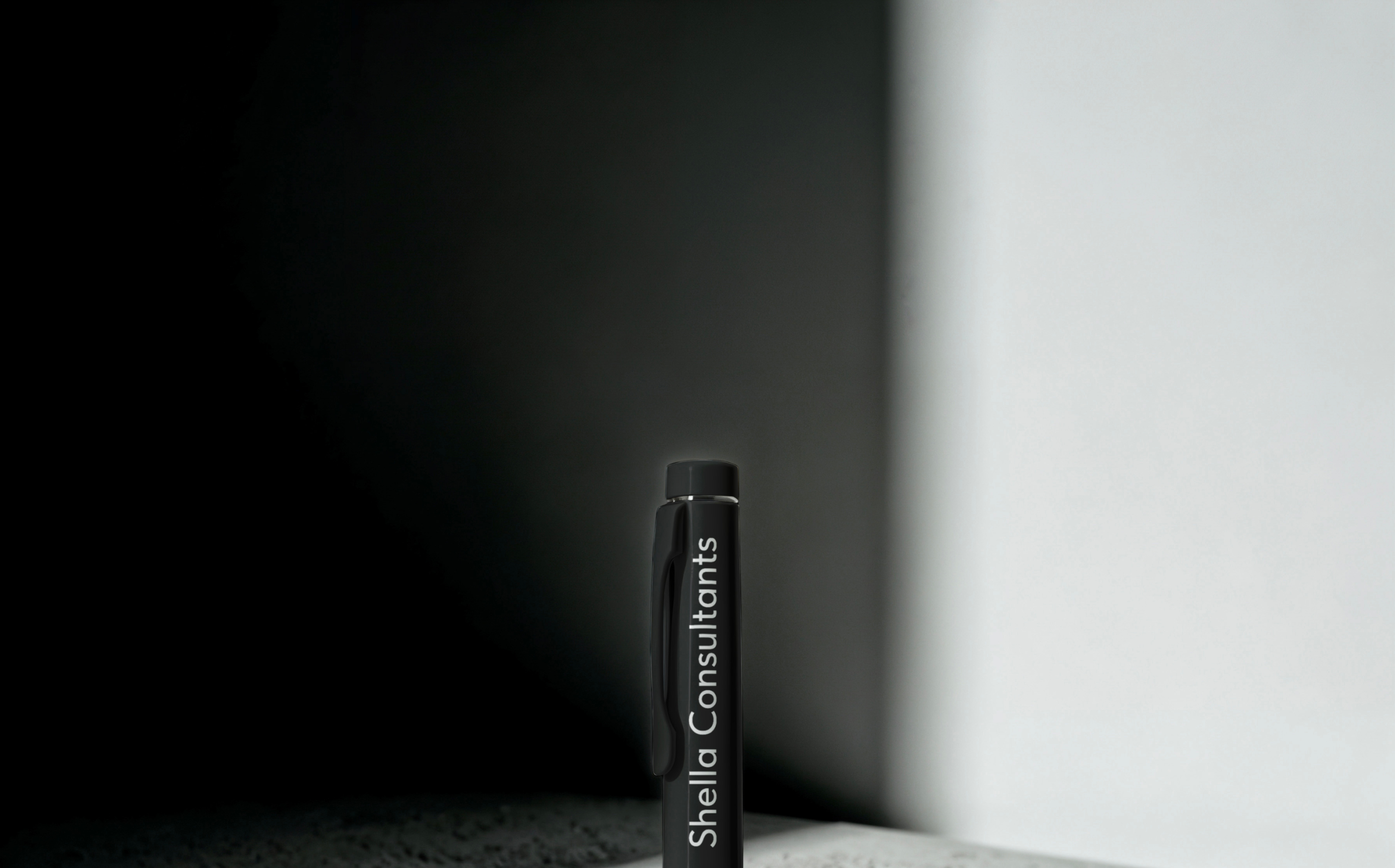 Shella Consultants | Website Design — Изображение №10 — Интерфейсы, Брендинг на Dprofile