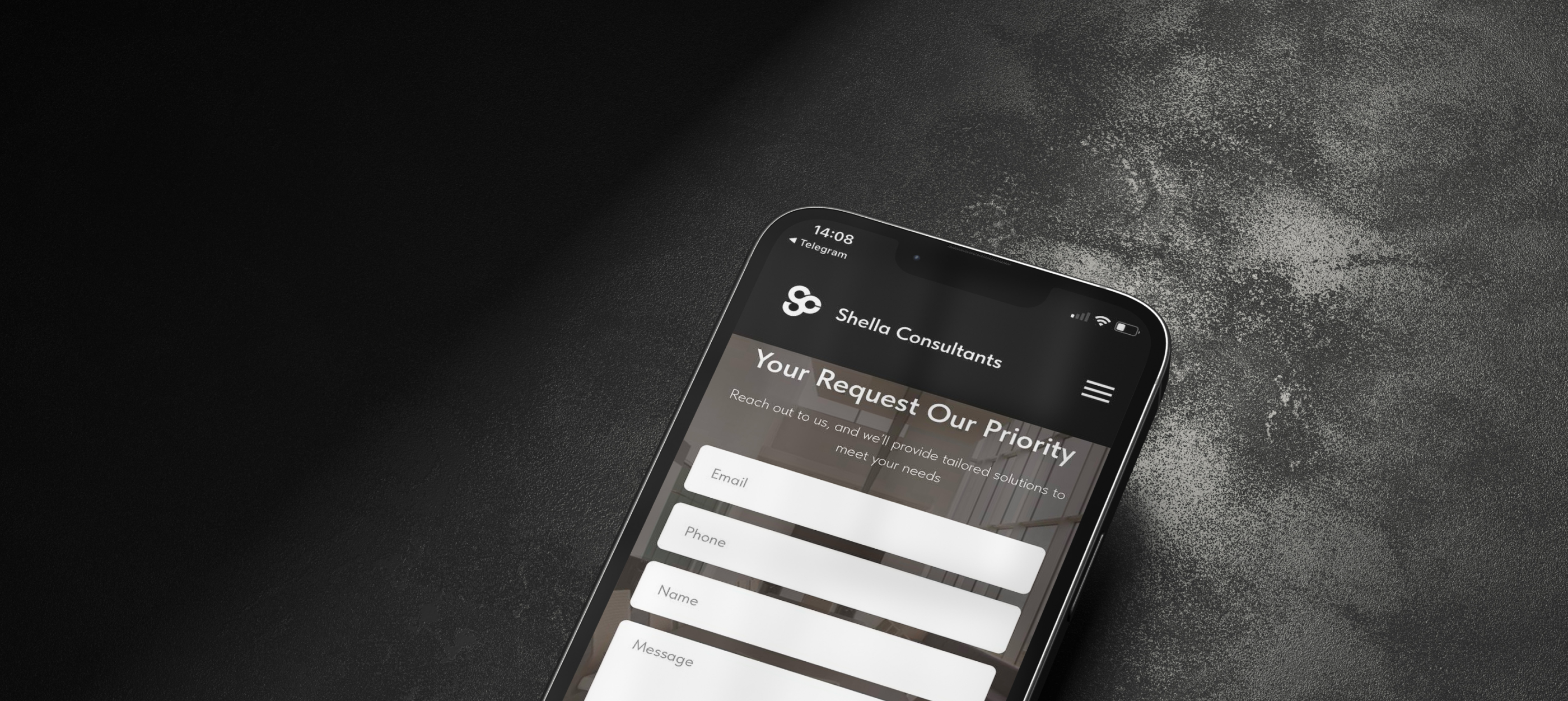 Shella Consultants | Website Design — Изображение №16 — Интерфейсы, Брендинг на Dprofile