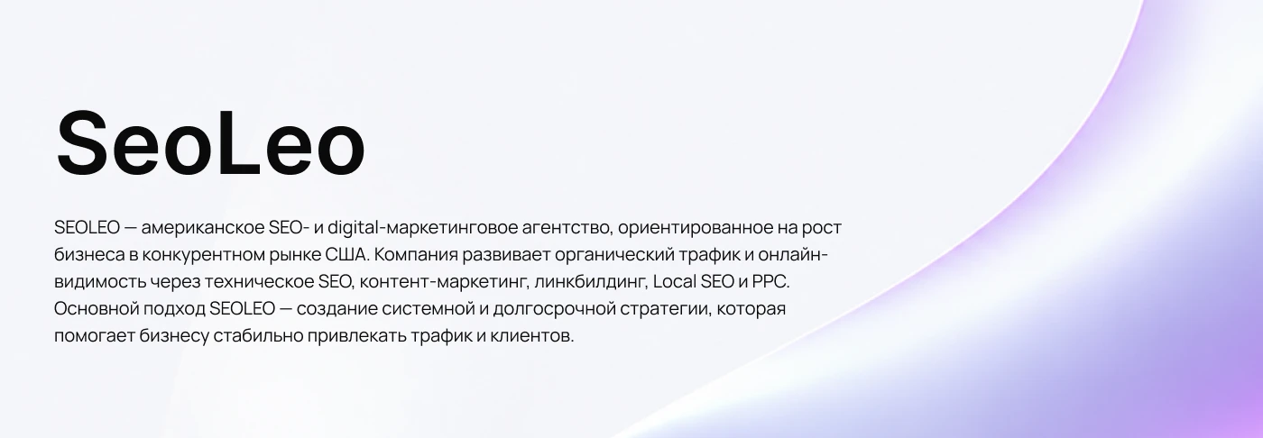 SeoLeo Agency web design — Изображение №1 — Интерфейсы на Dprofile