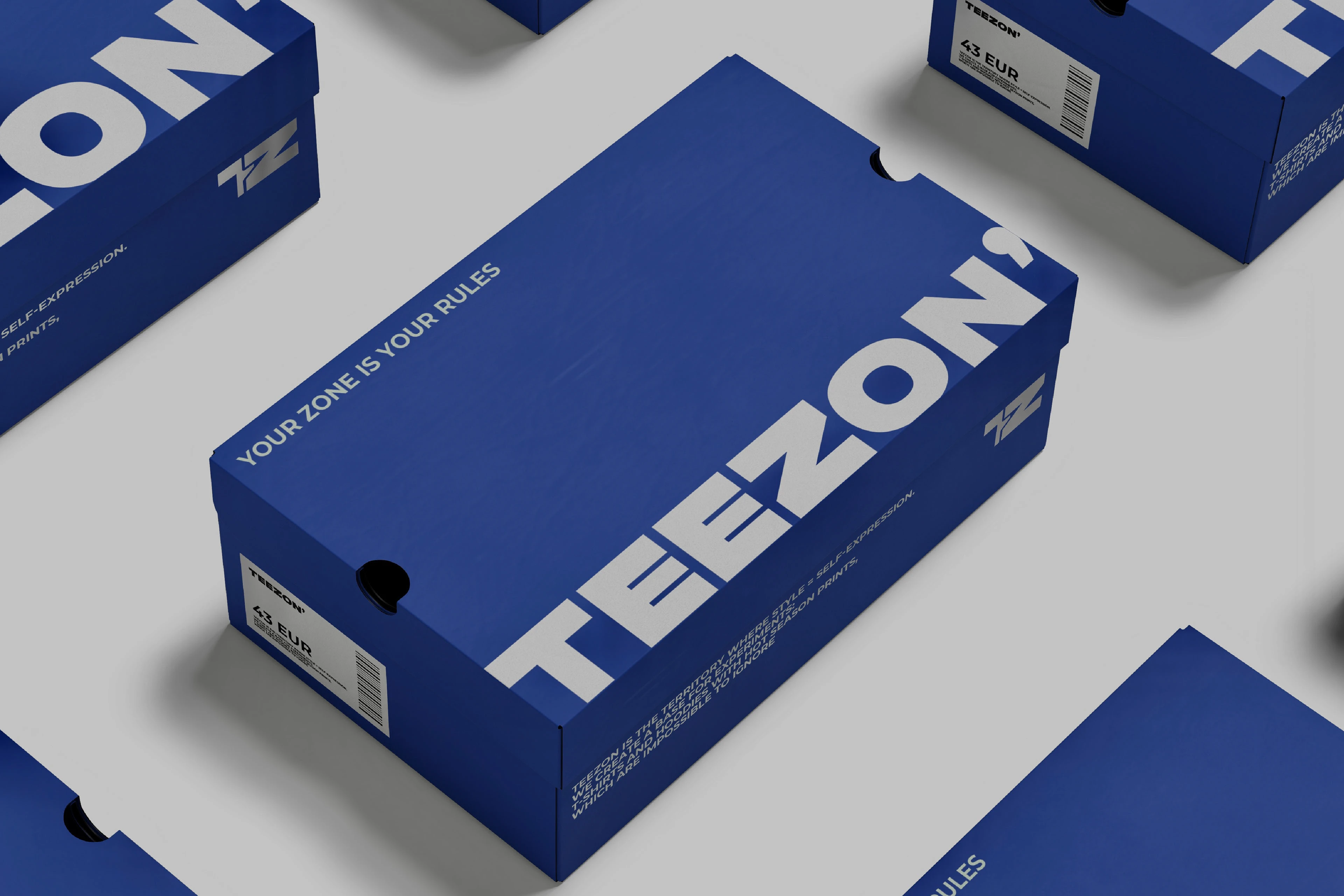 ЛОГОТИП ДЛЯ СПОРТИВНОГО БРЕНДА ОДЕЖДЫ I TEEZON — Изображение №2 — Брендинг на Dprofile