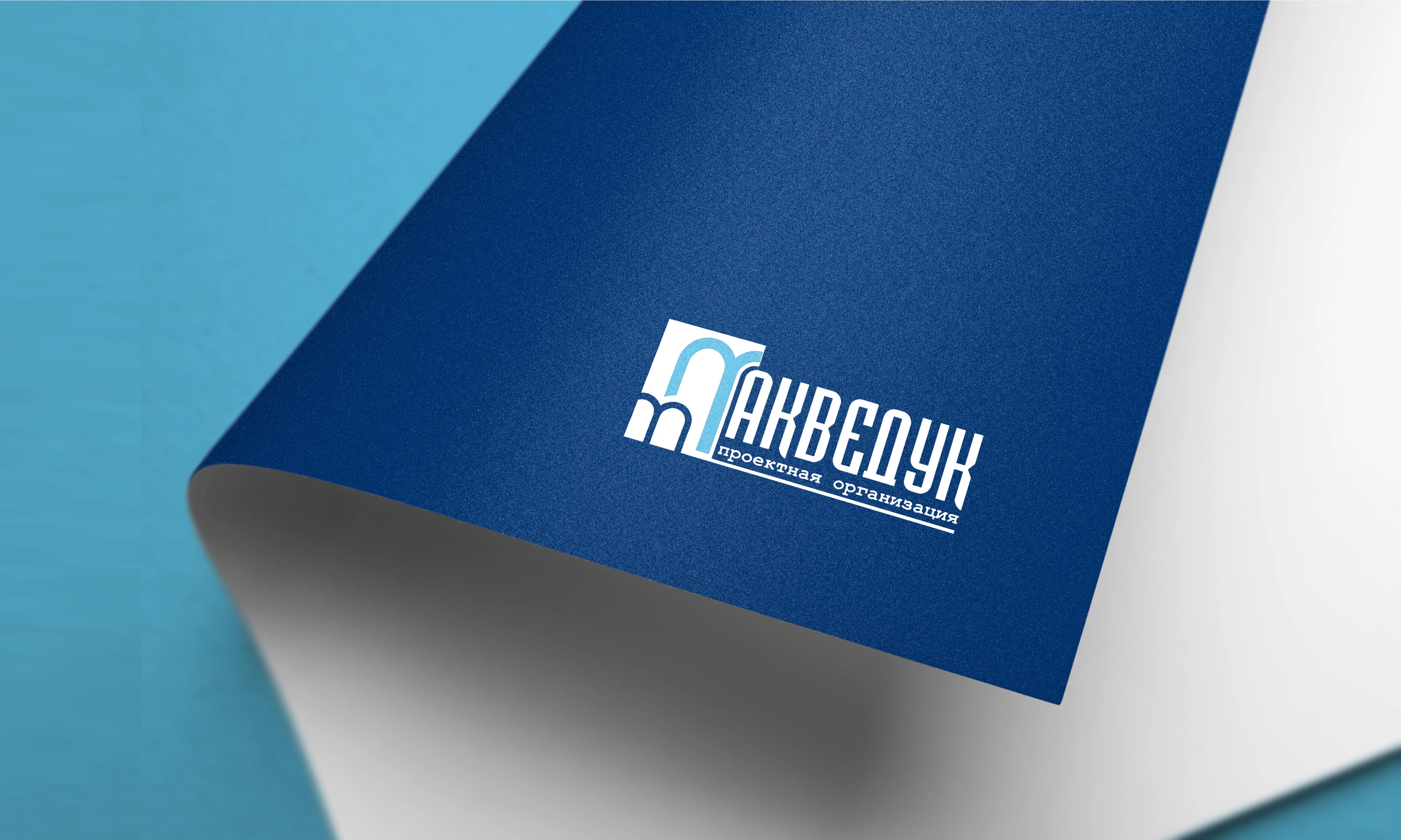 ПРОЕКТНЫЙ ИНСТИТУТ ПОЛНОГО ЦИКЛА АКВЕДУК — Изображение №4 — Брендинг на Dprofile