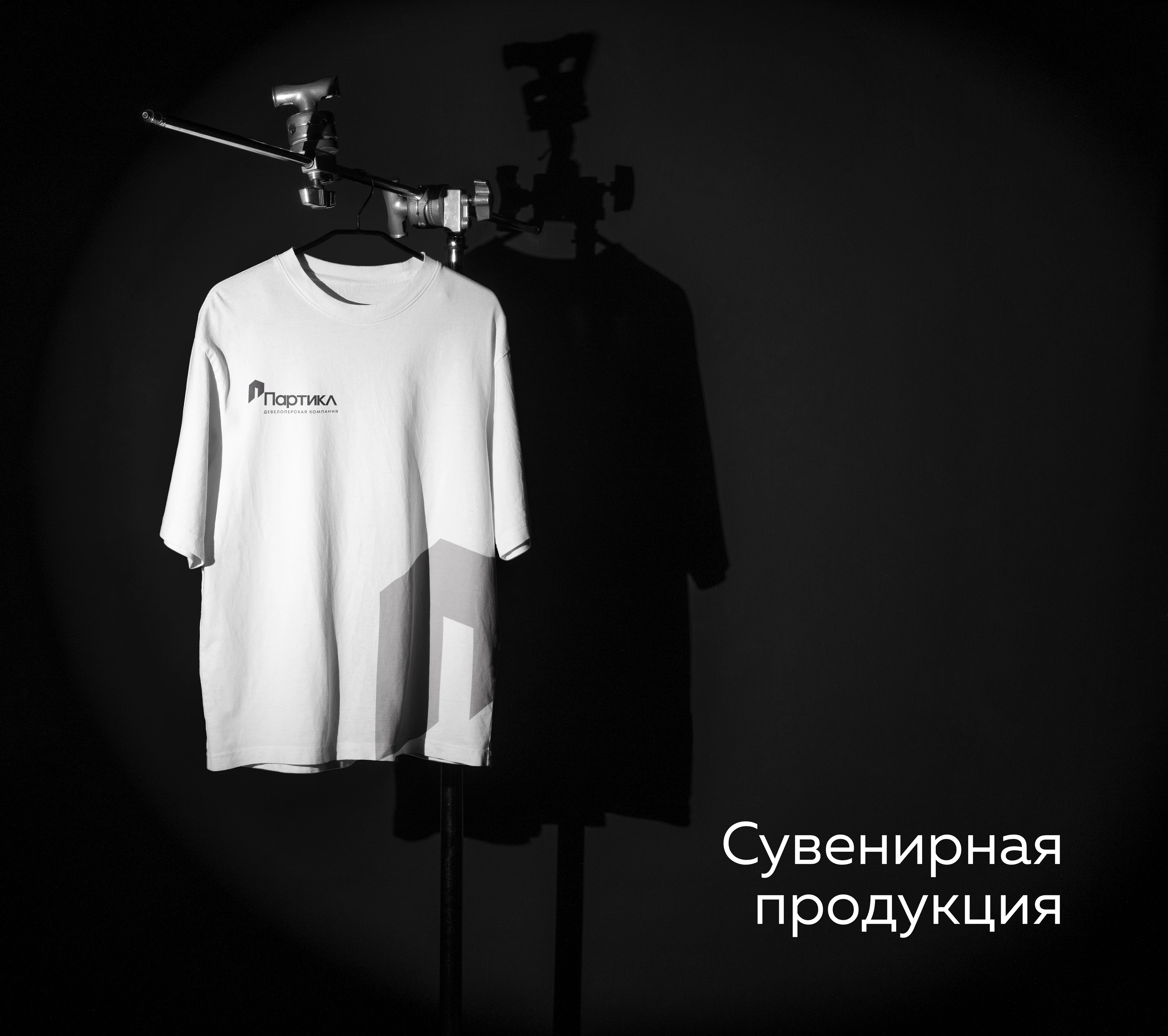 Партикл девелоперская компания — Изображение №18 — Брендинг, Маркетинг на Dprofile