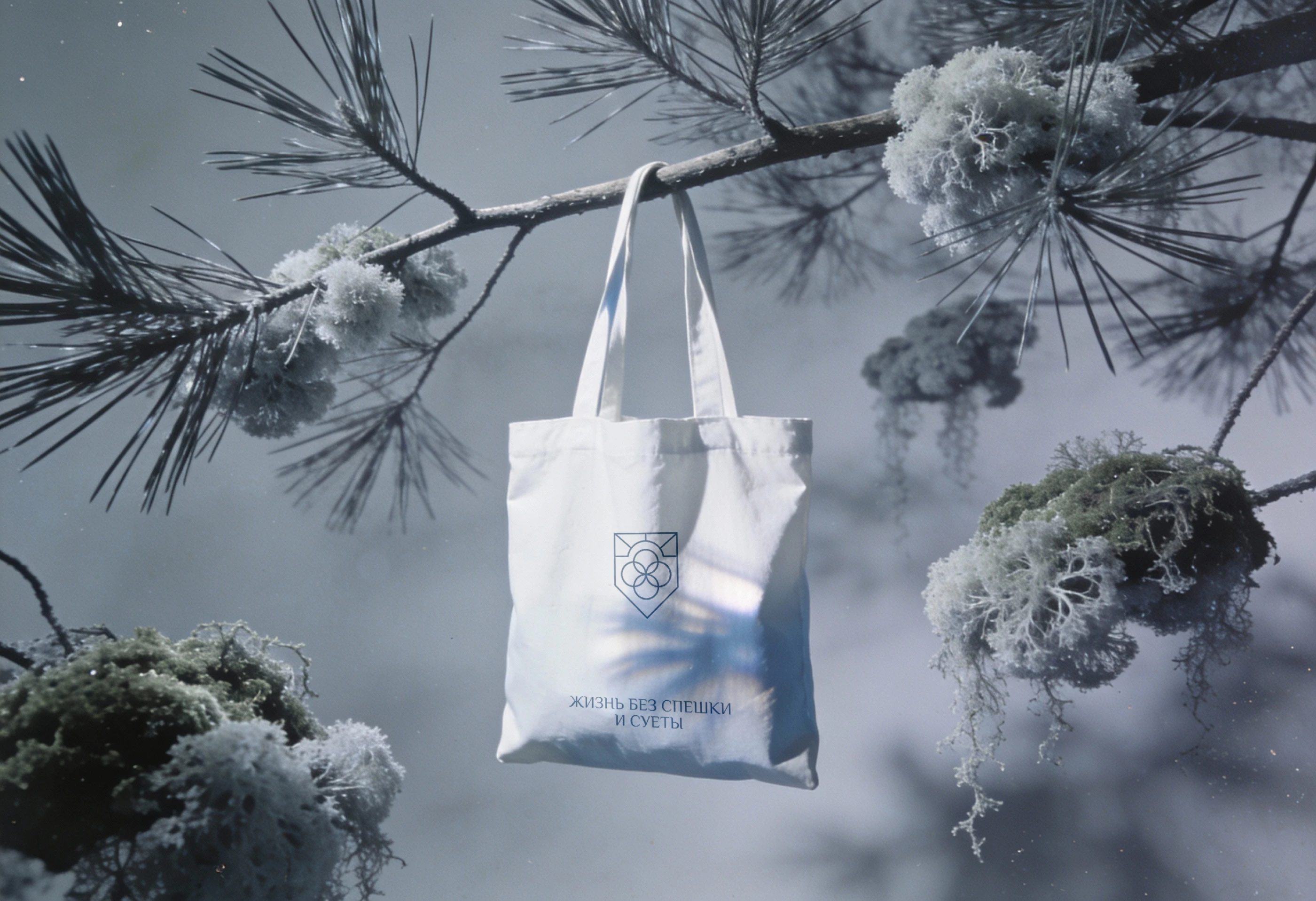 ЖК Scandinavia — Изображение №22 — Брендинг на Dprofile