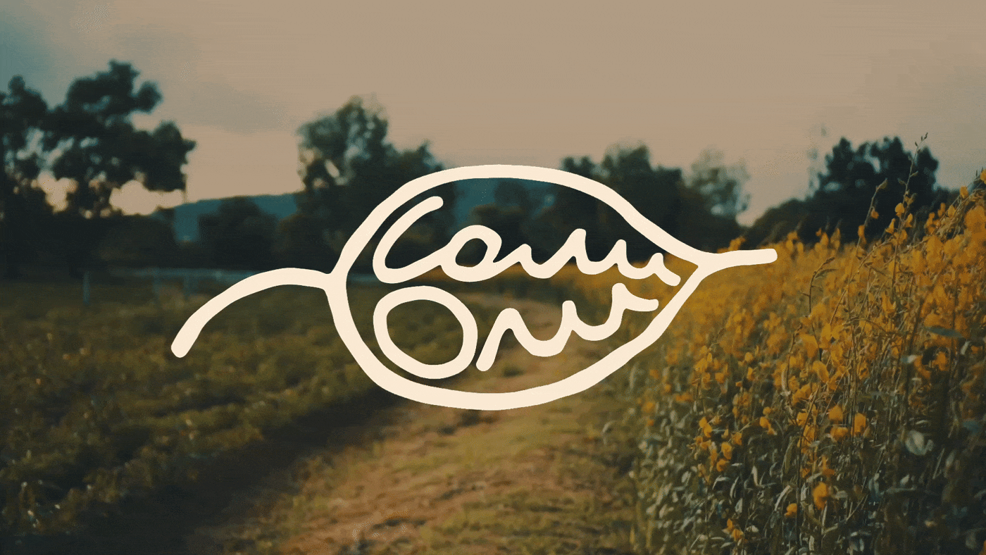 Соли Оли: ребрендинг и упаковка для ботанической косметики — Изображение №6 — Брендинг на Dprofile