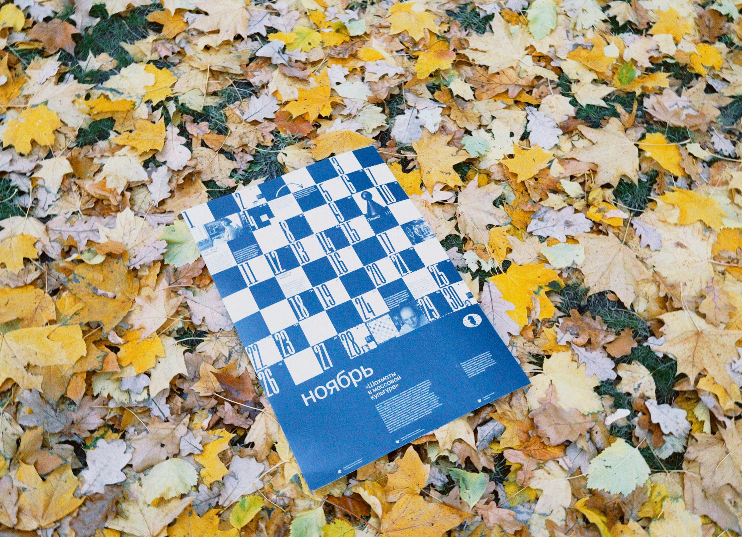 Календарь шахматных эпох для FIDE — Изображение №18 — Брендинг, Графика на Dprofile