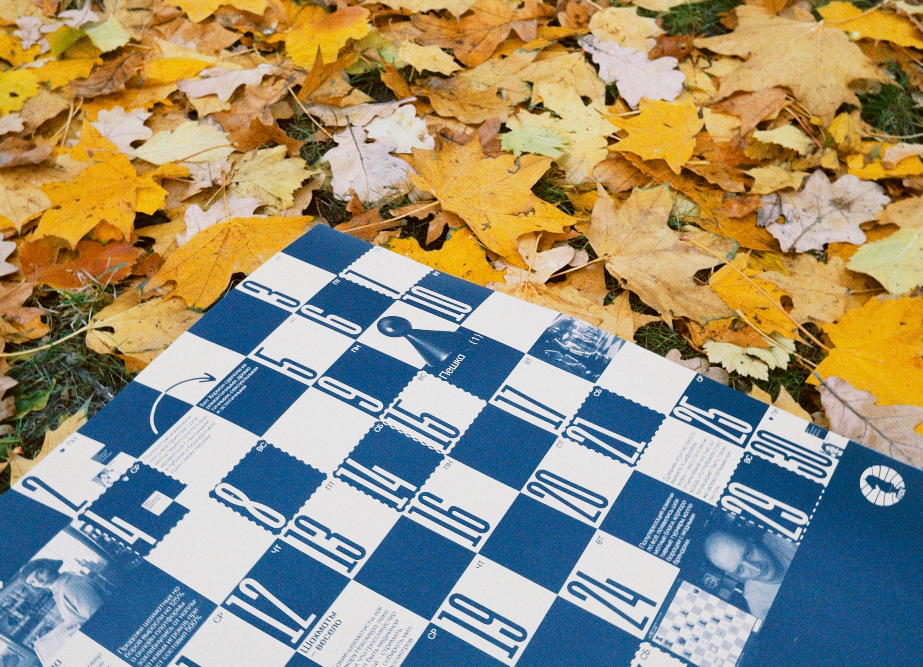 Календарь шахматных эпох для FIDE — Изображение №17 — Брендинг, Графика на Dprofile