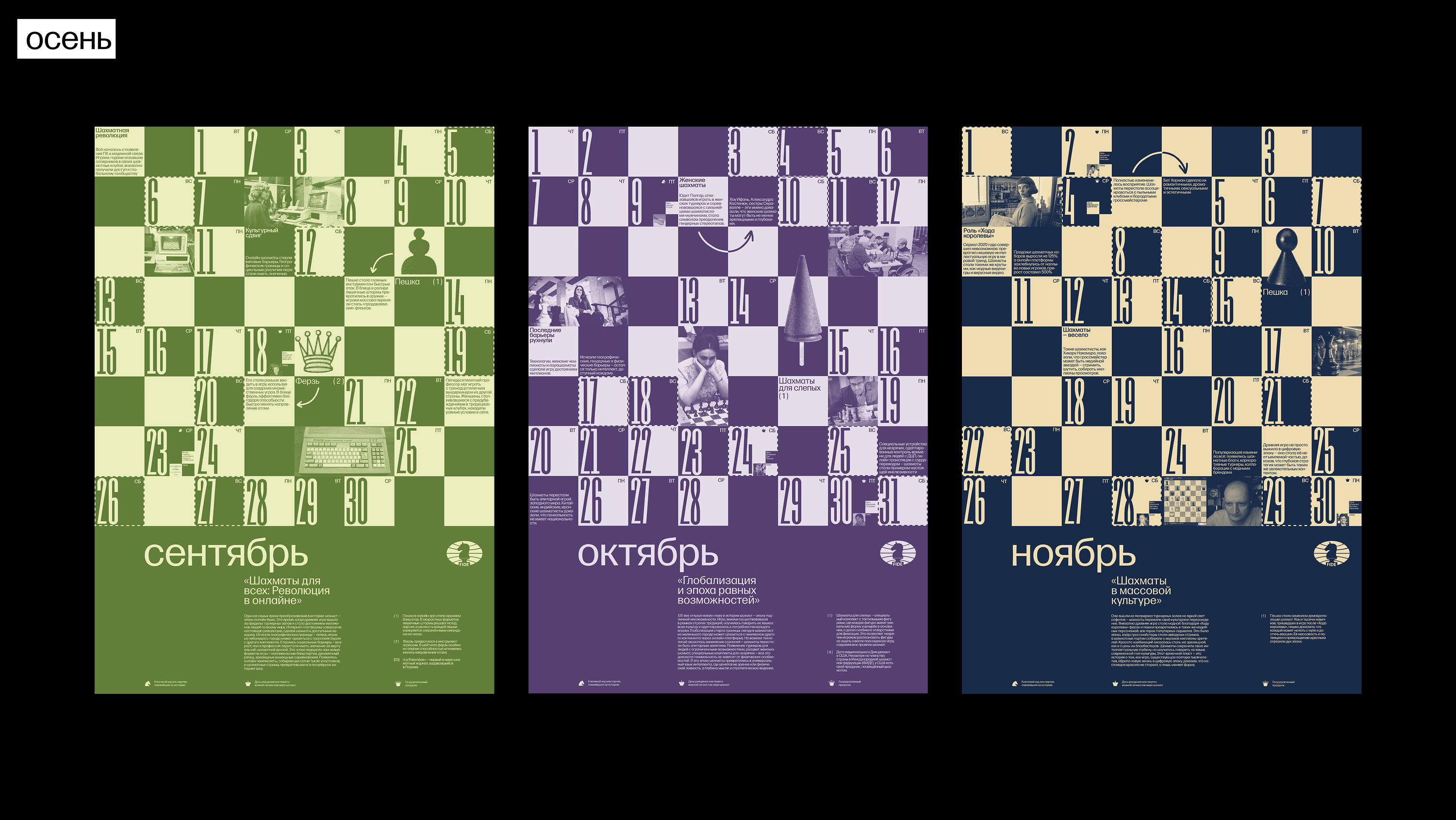 Календарь шахматных эпох для FIDE — Изображение №30 — Брендинг, Графика на Dprofile