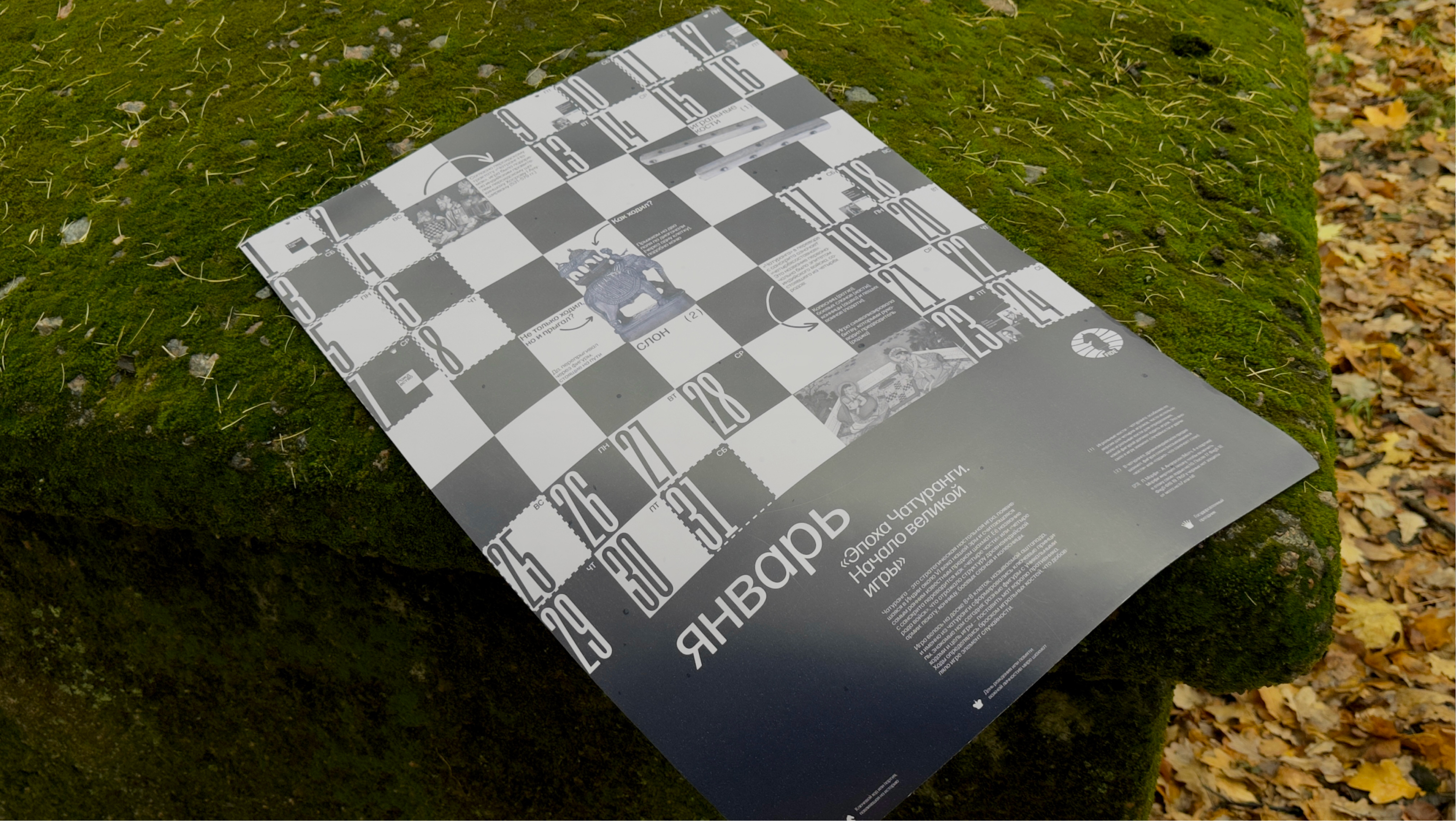 Календарь шахматных эпох для FIDE — Изображение №22 — Брендинг, Графика на Dprofile