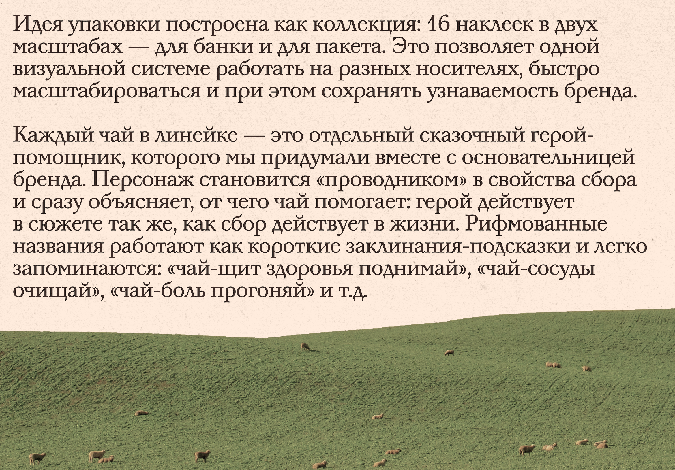 Псковский чай. Брендинг и упаковка — Изображение №5 — Брендинг на Dprofile
