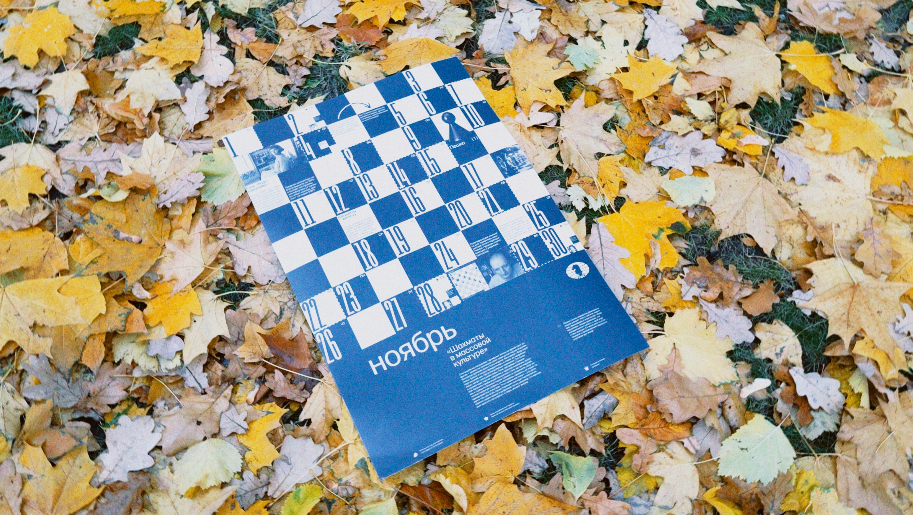 Календарь шахматных эпох для FIDE — Изображение №15 — Брендинг, Графика на Dprofile