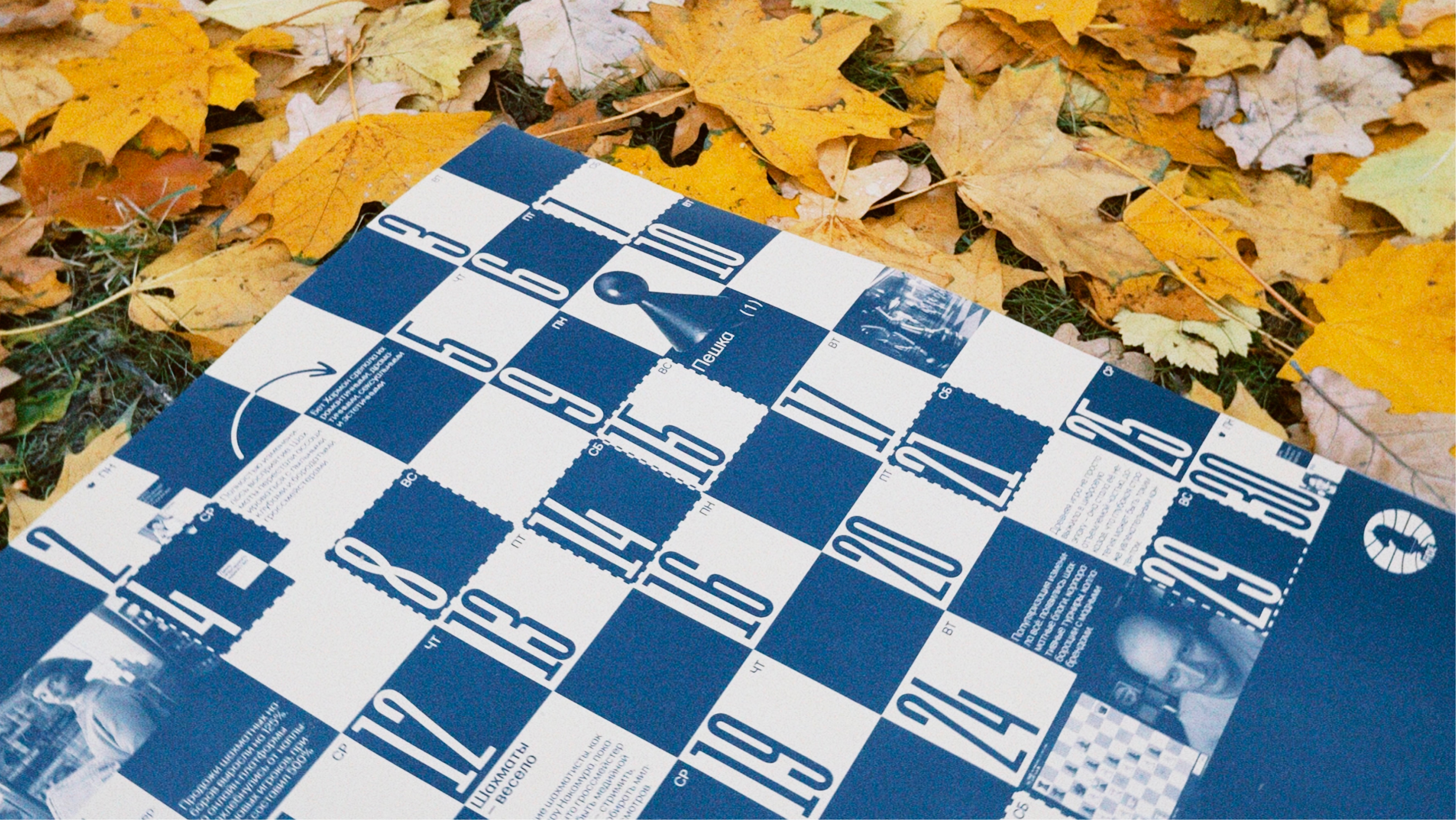 Календарь шахматных эпох для FIDE — Изображение №16 — Брендинг, Графика на Dprofile