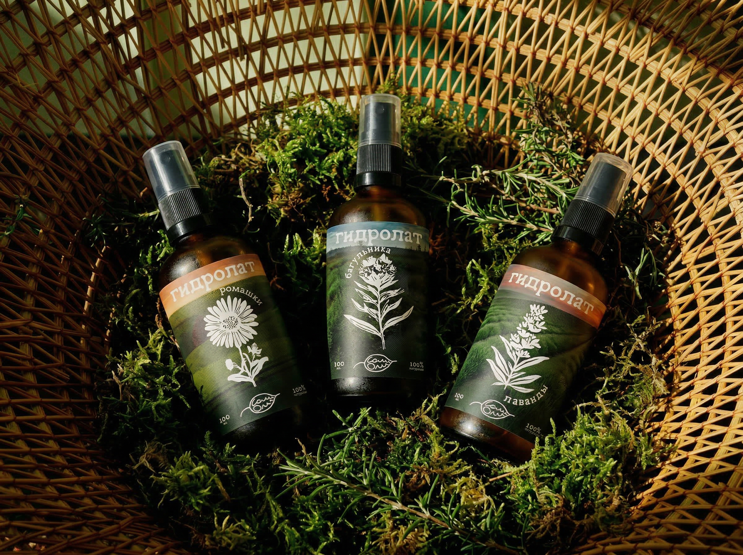 Соли Оли: ребрендинг и упаковка для ботанической косметики — Изображение №18 — Брендинг на Dprofile