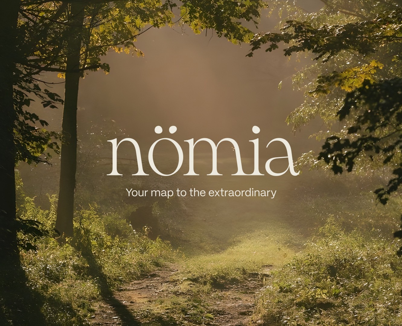 Nömia - сервис осознанных путешествий — Брендинг, Анимация на Dprofile